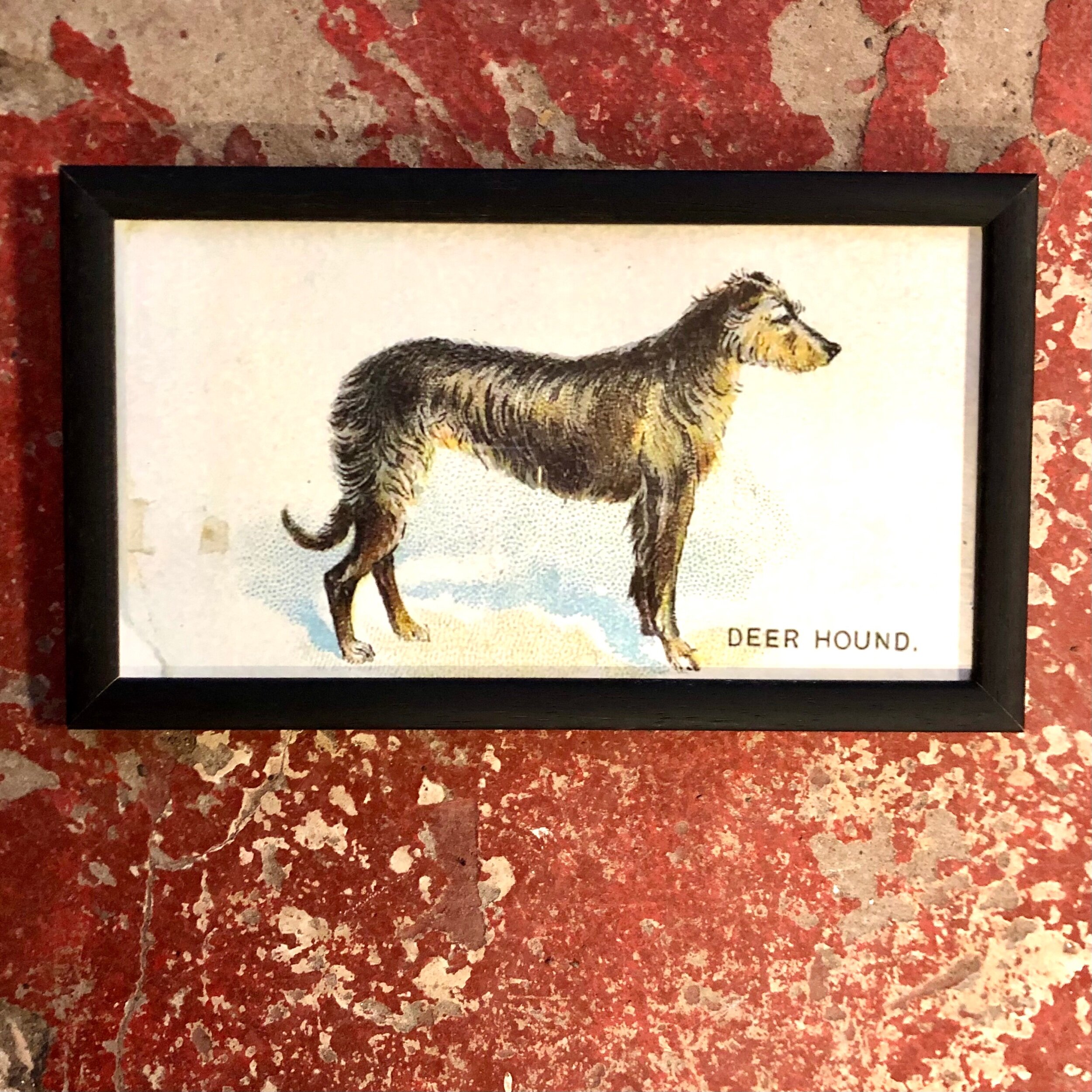 B690A50D-7C4B-49B9-BAF2-5FB64D490862