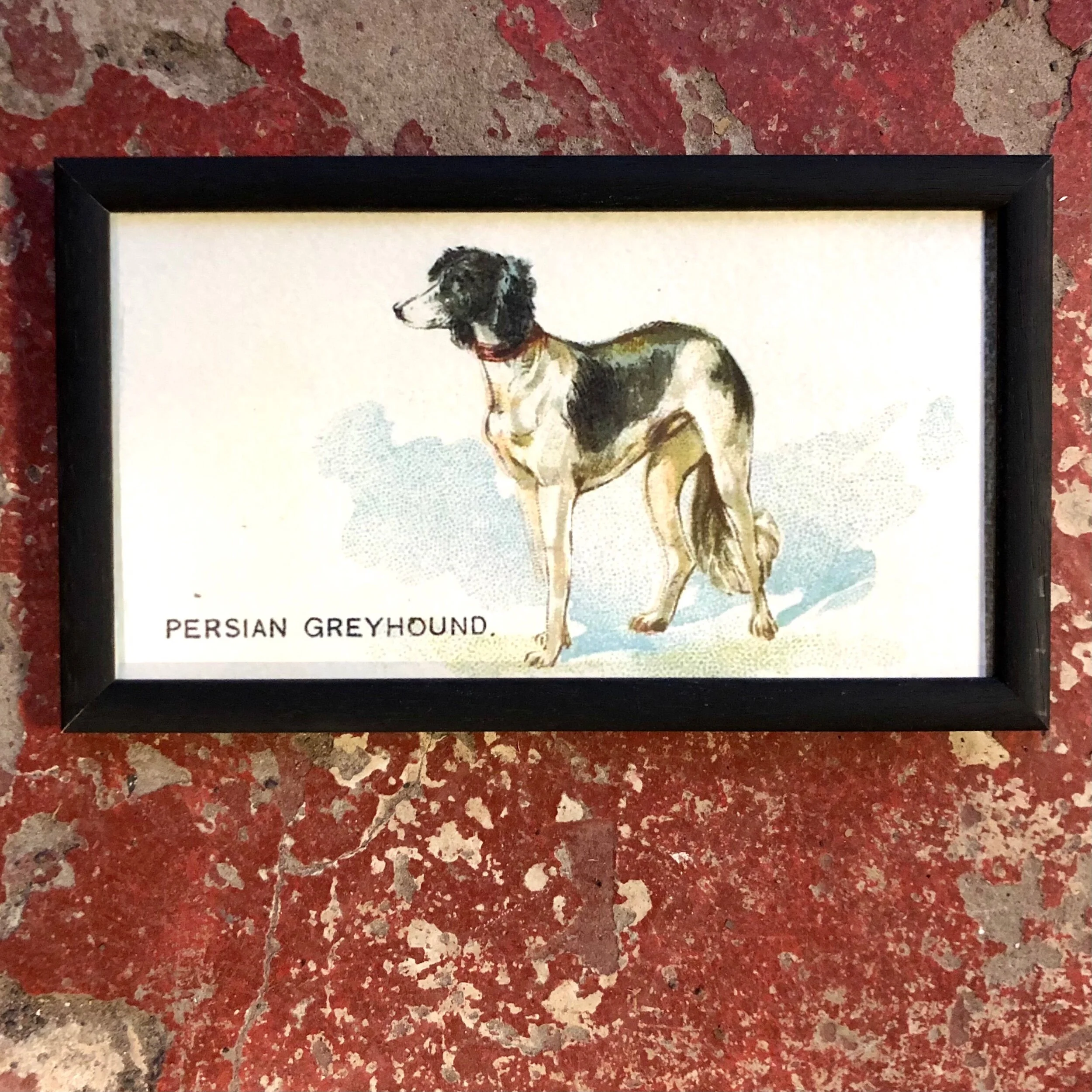 430C7F44-6A02-4C4E-829C-4391A538A2C8