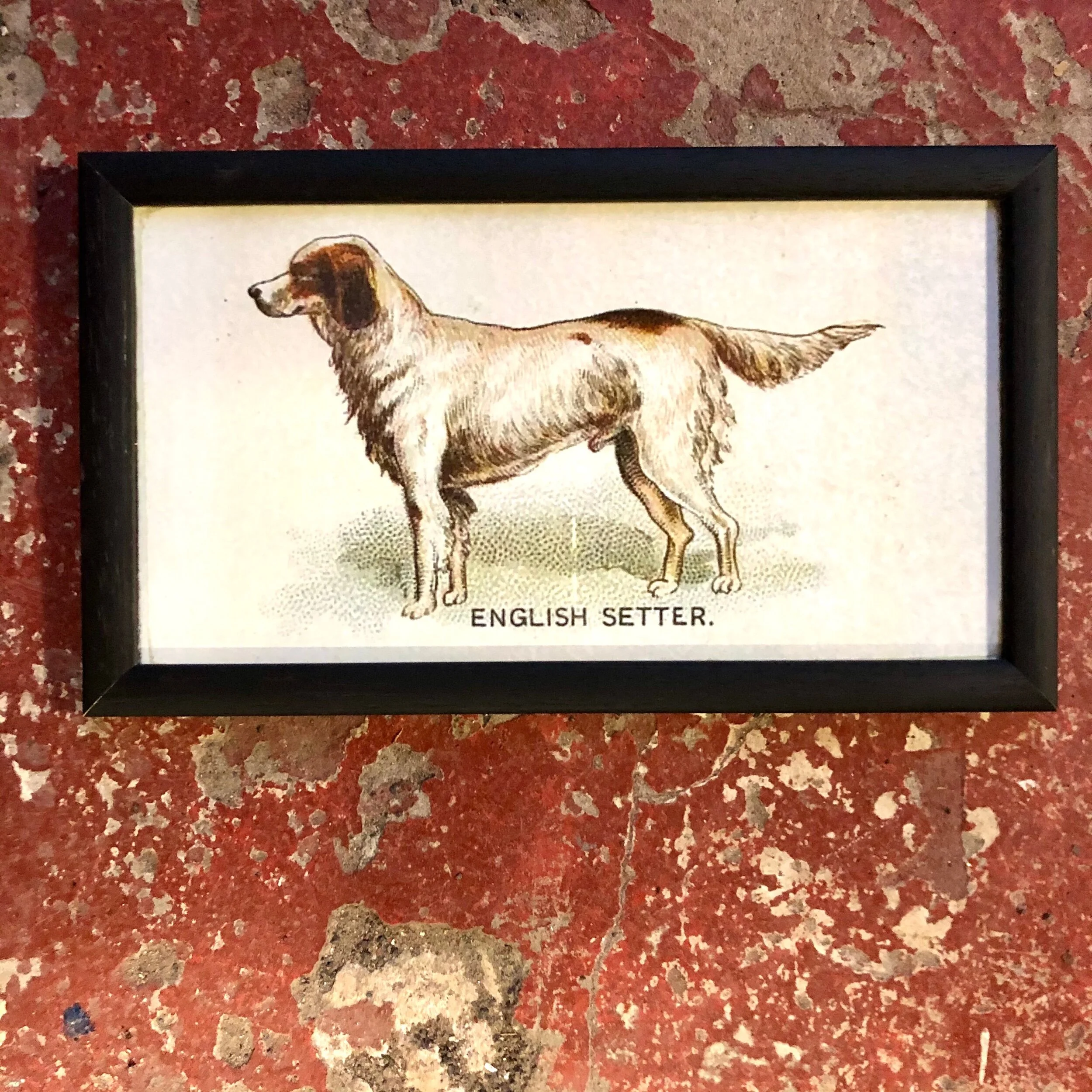 C2C7986E-0ED4-4451-9278-CAA6E82497C9