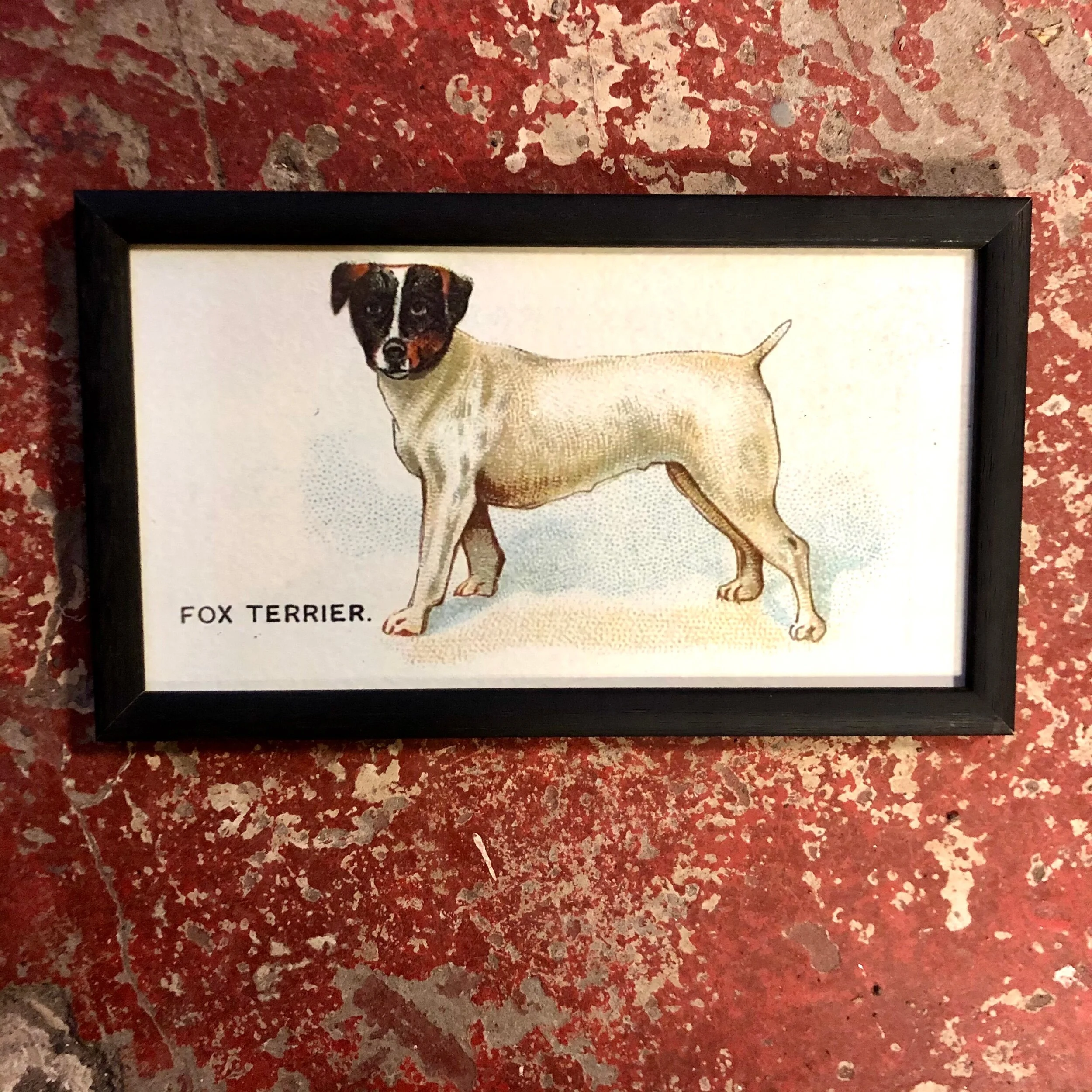 3B1B8601-AFCC-4A53-95C3-7413CE269932