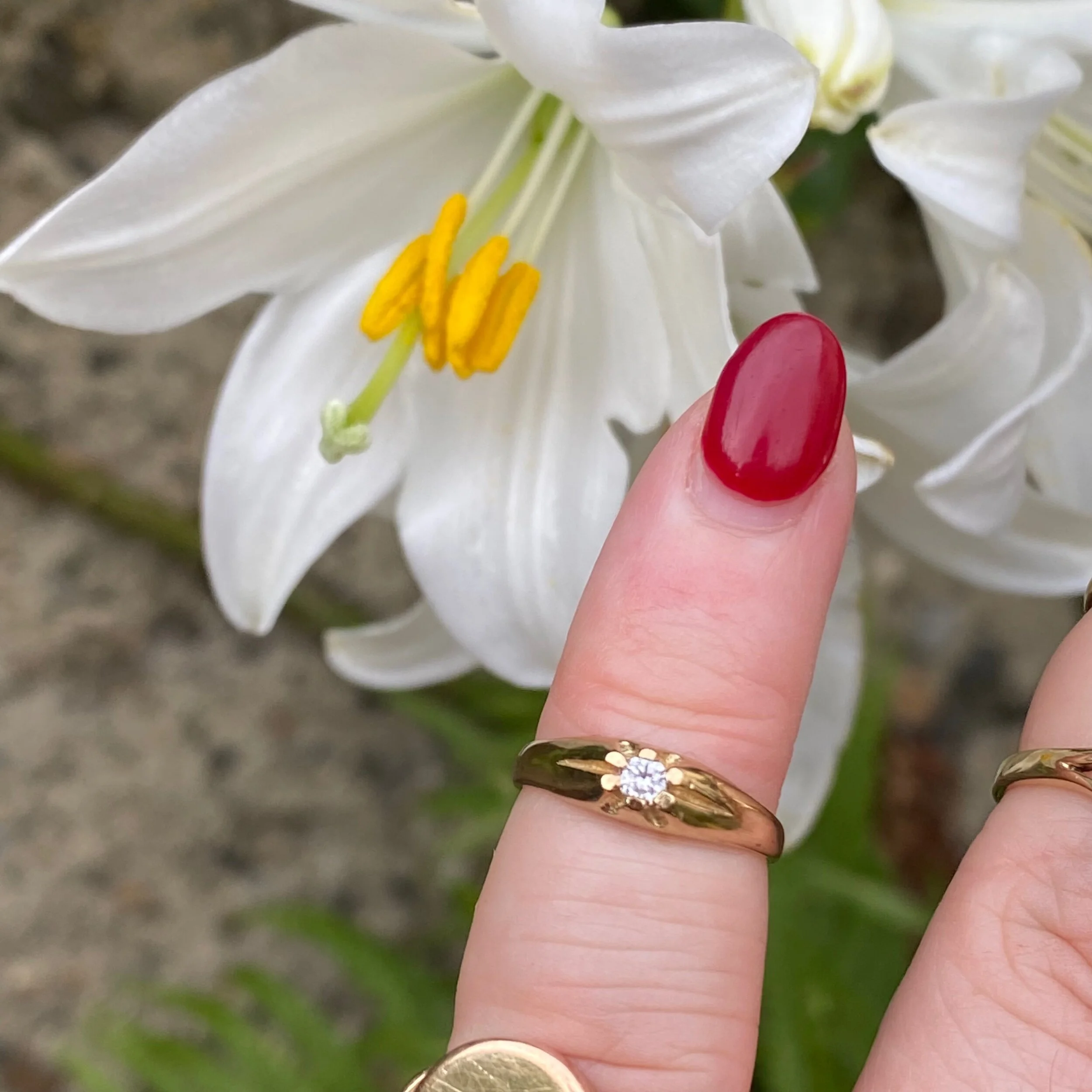 C8A03CFE-B2AB-45B7-8D75-6AFA8BF2D07B