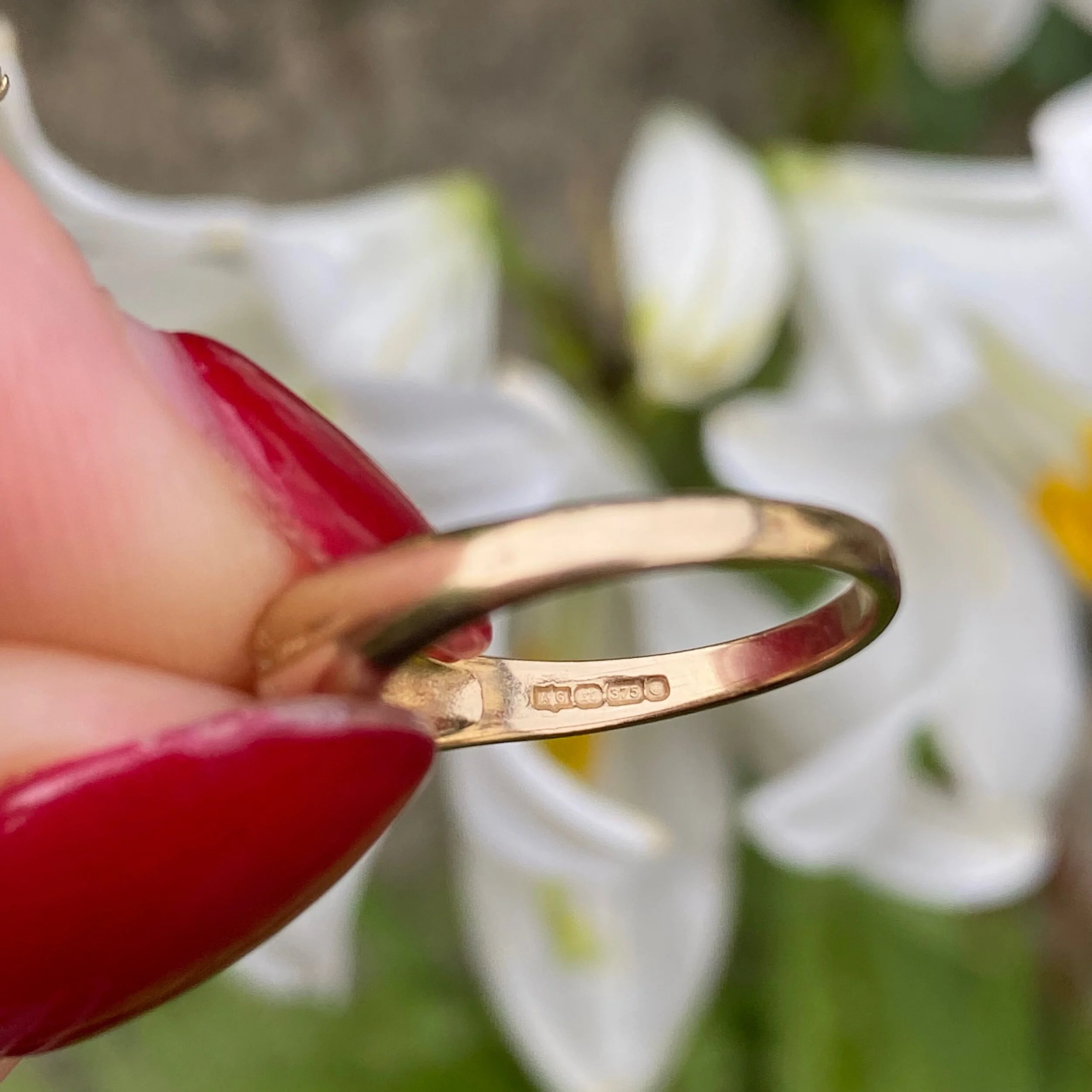 170B8FCC-4D15-4B7C-968E-68E88716859B