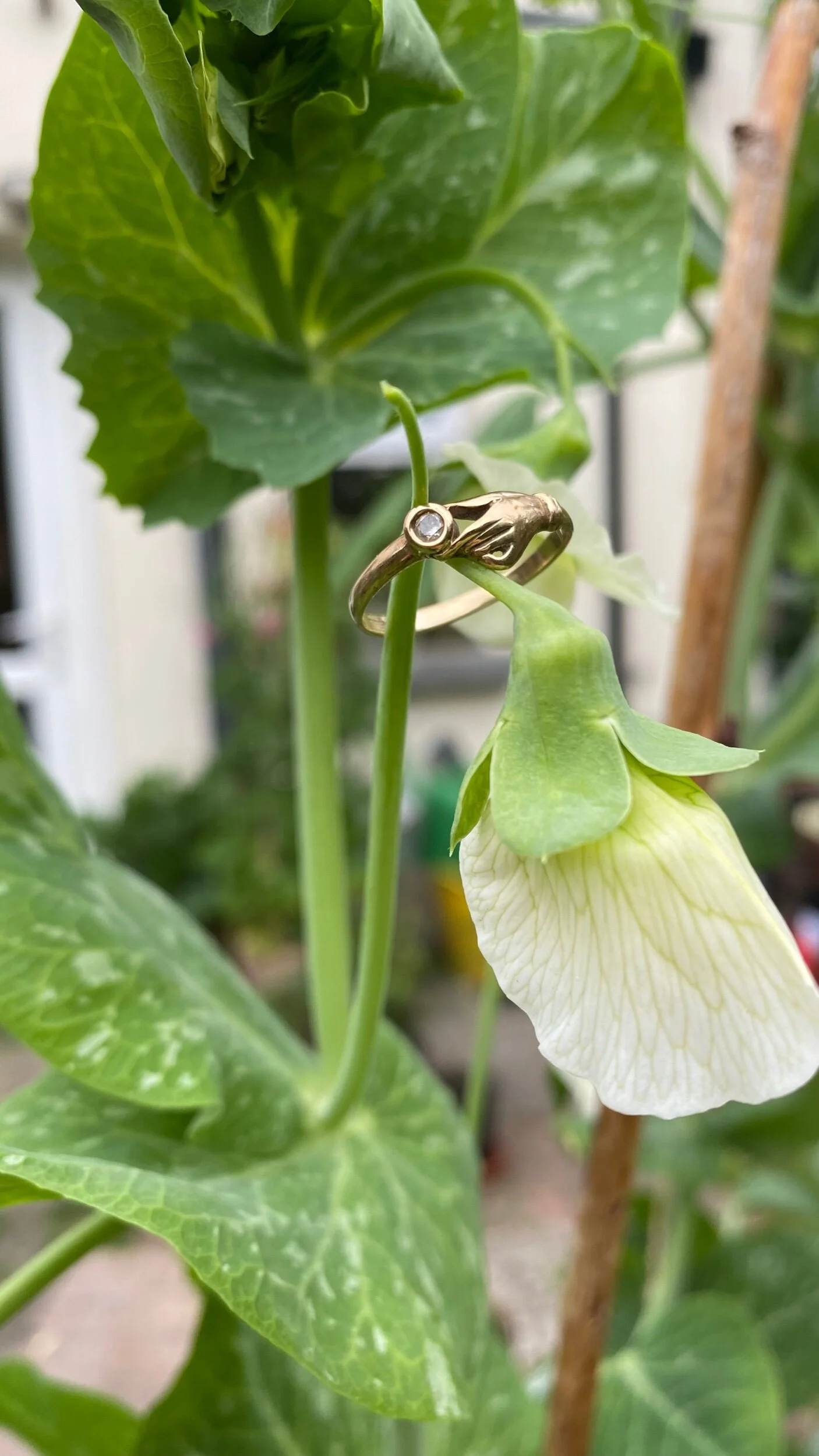 4D5D6DAD-277F-4BE0-8659-C9BFD3998106