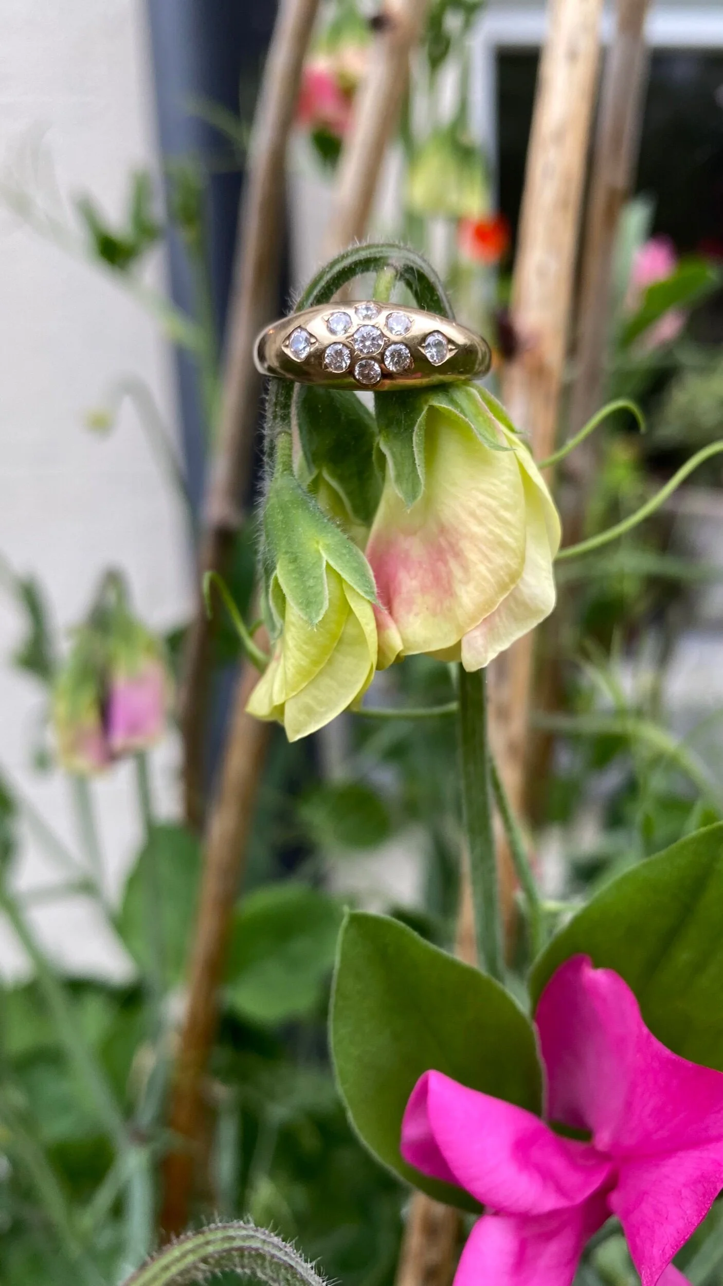 9198AC97-5C47-4D25-A805-7A7CAEAE0F3A