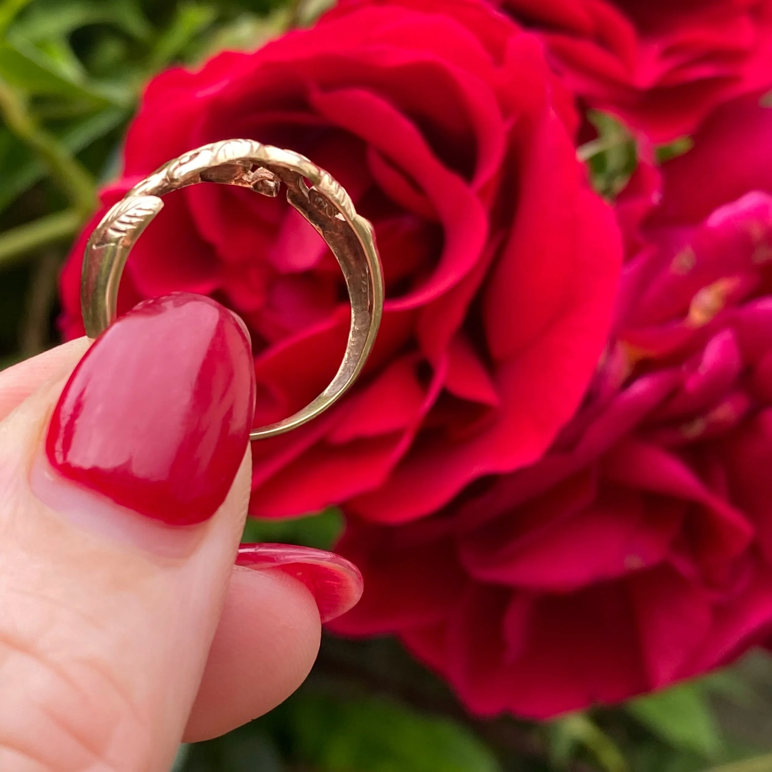 80D42D13-5E80-4D05-9886-3EED1B8A415D