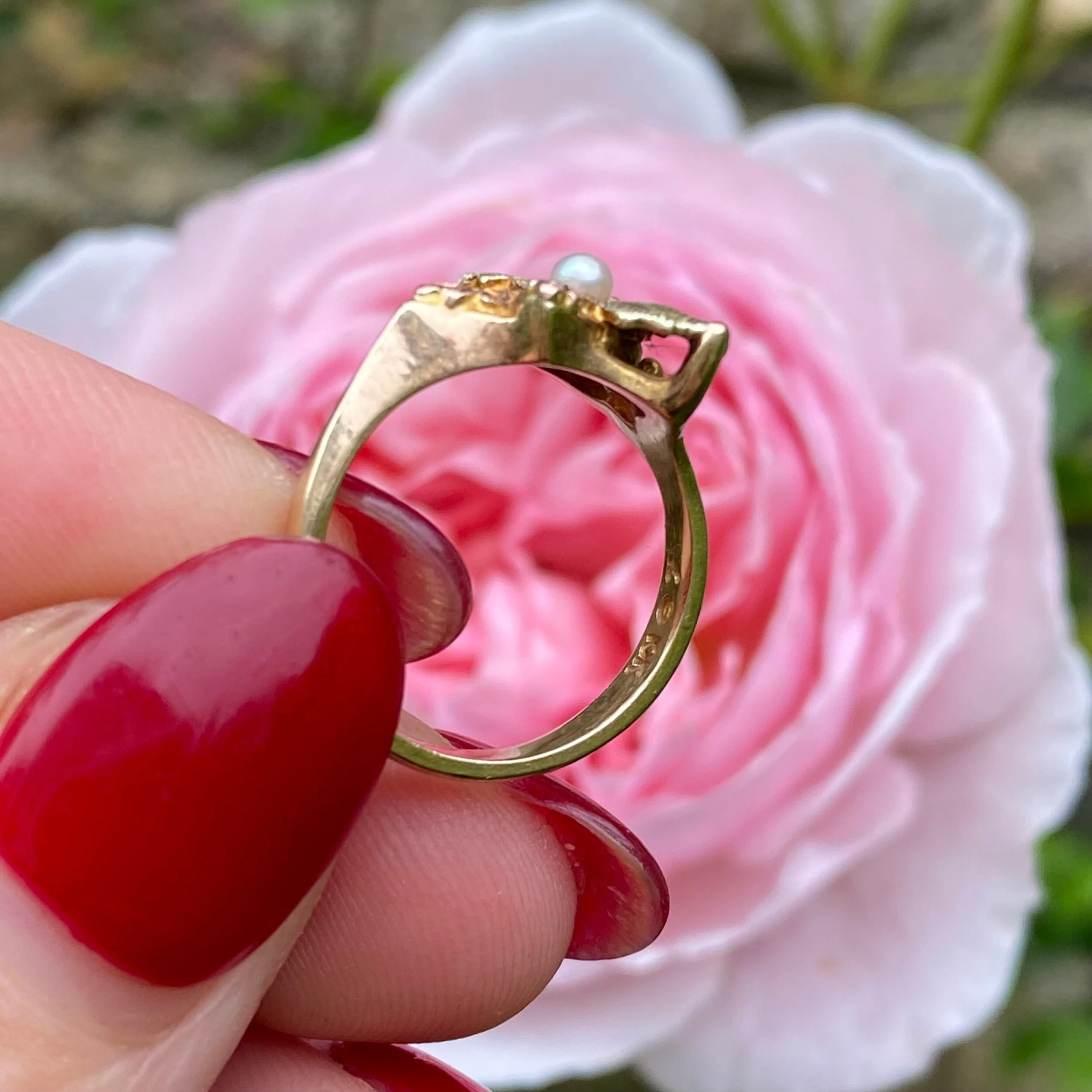 74BA677F-6EBE-4C70-854E-CD5489AFFA2B