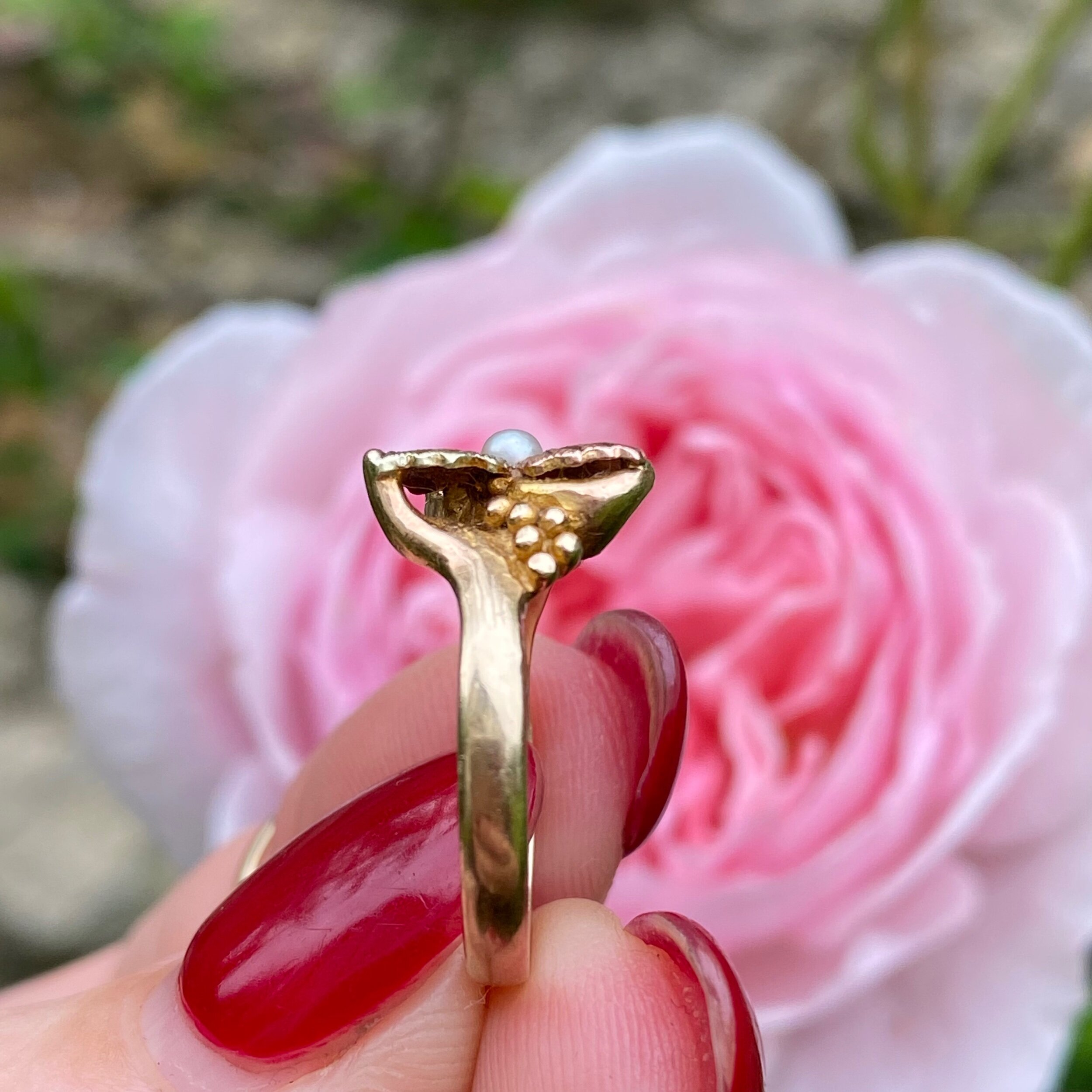 18C13069-8952-4687-A0E8-94D848C44C6E