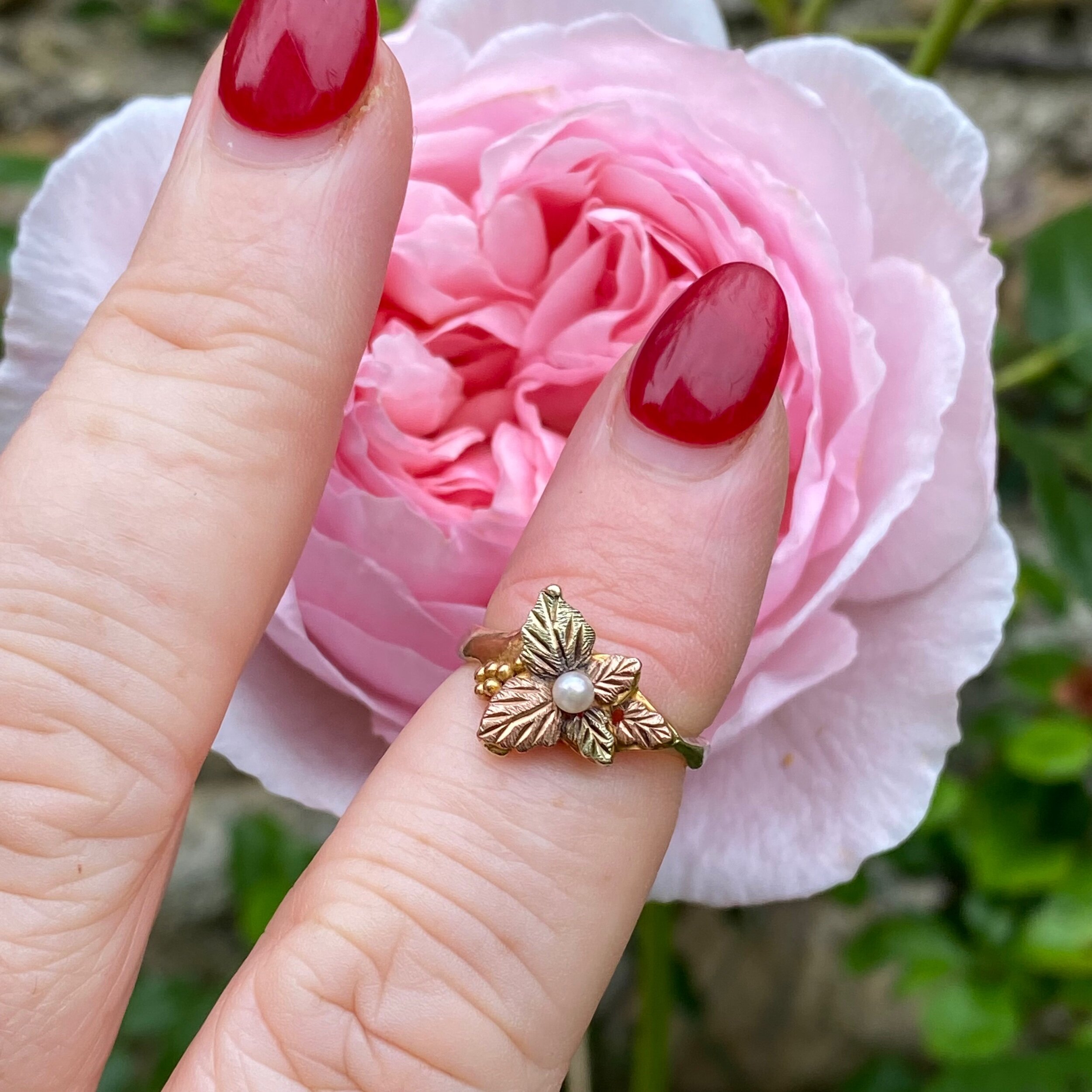 565F3F1E-8E4A-44B0-933D-339C60D7A715