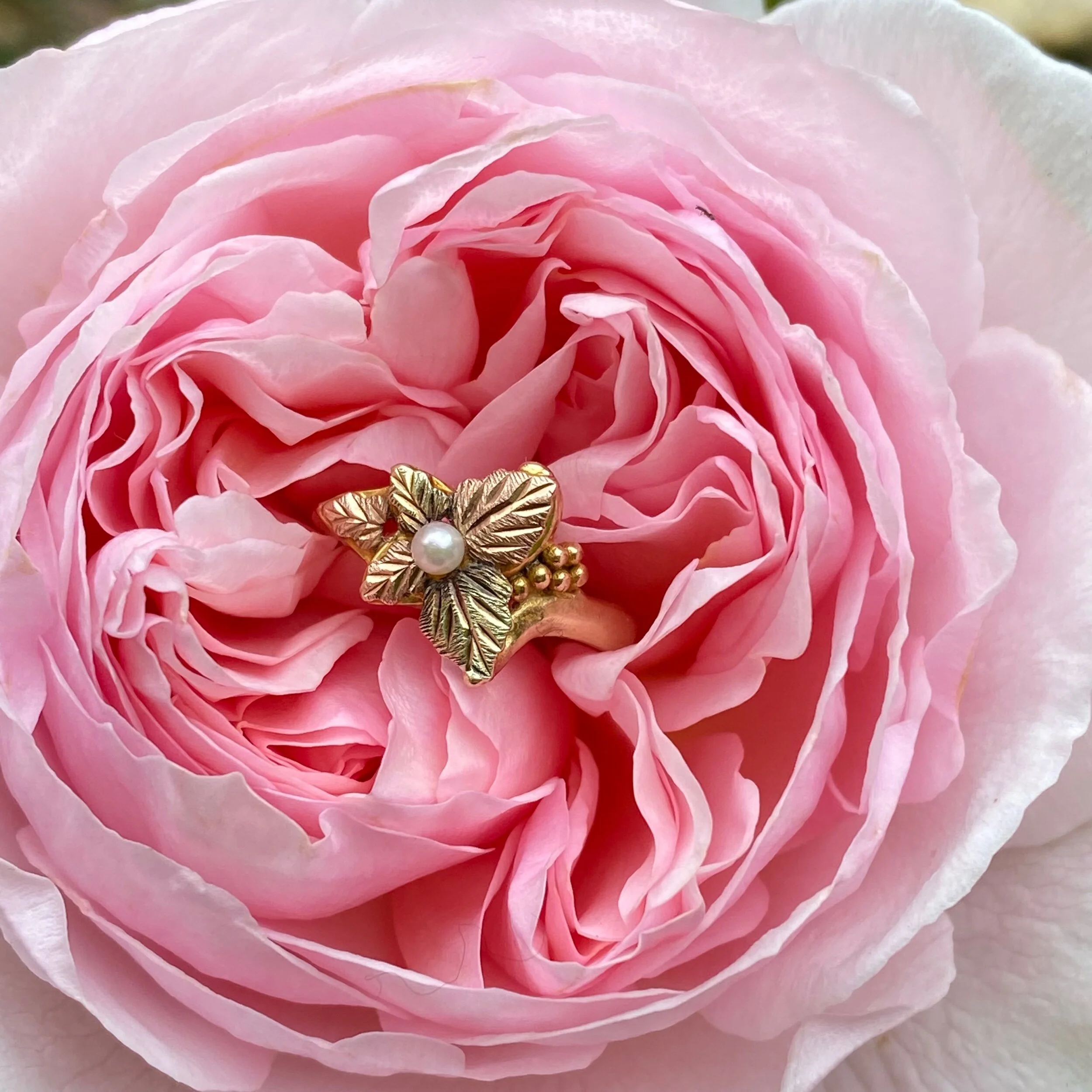 4A08BFF3-19C0-4795-95C9-8C490CE48BB3