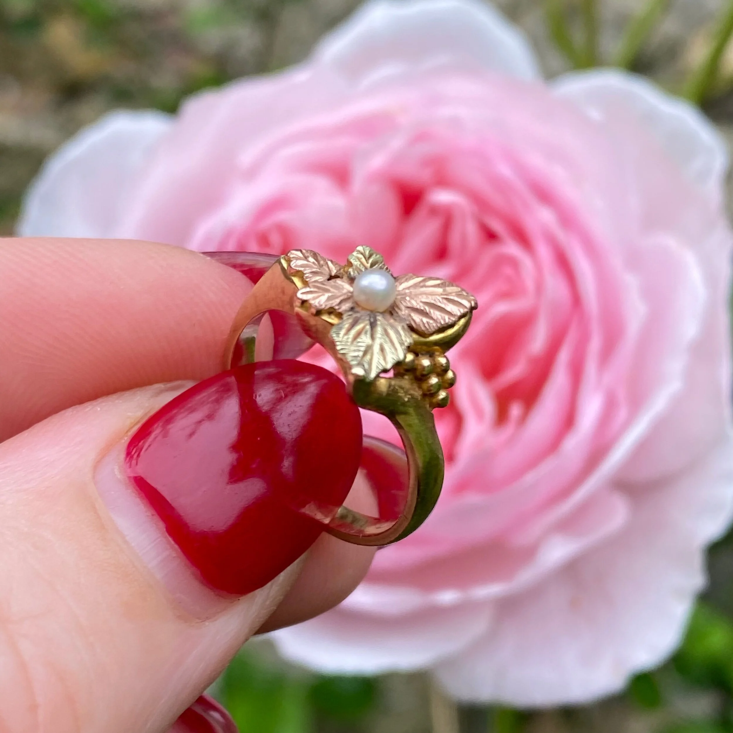 DB950D18-2210-4F3E-A4E3-6099B58D080E