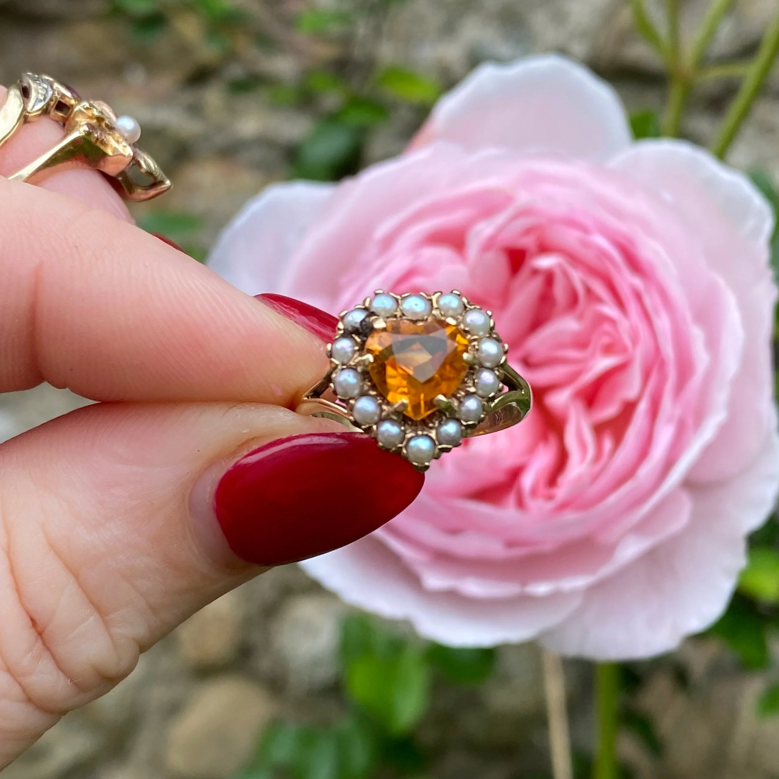 704AD5B5-788C-4C43-8A08-E9596E0EDA8C