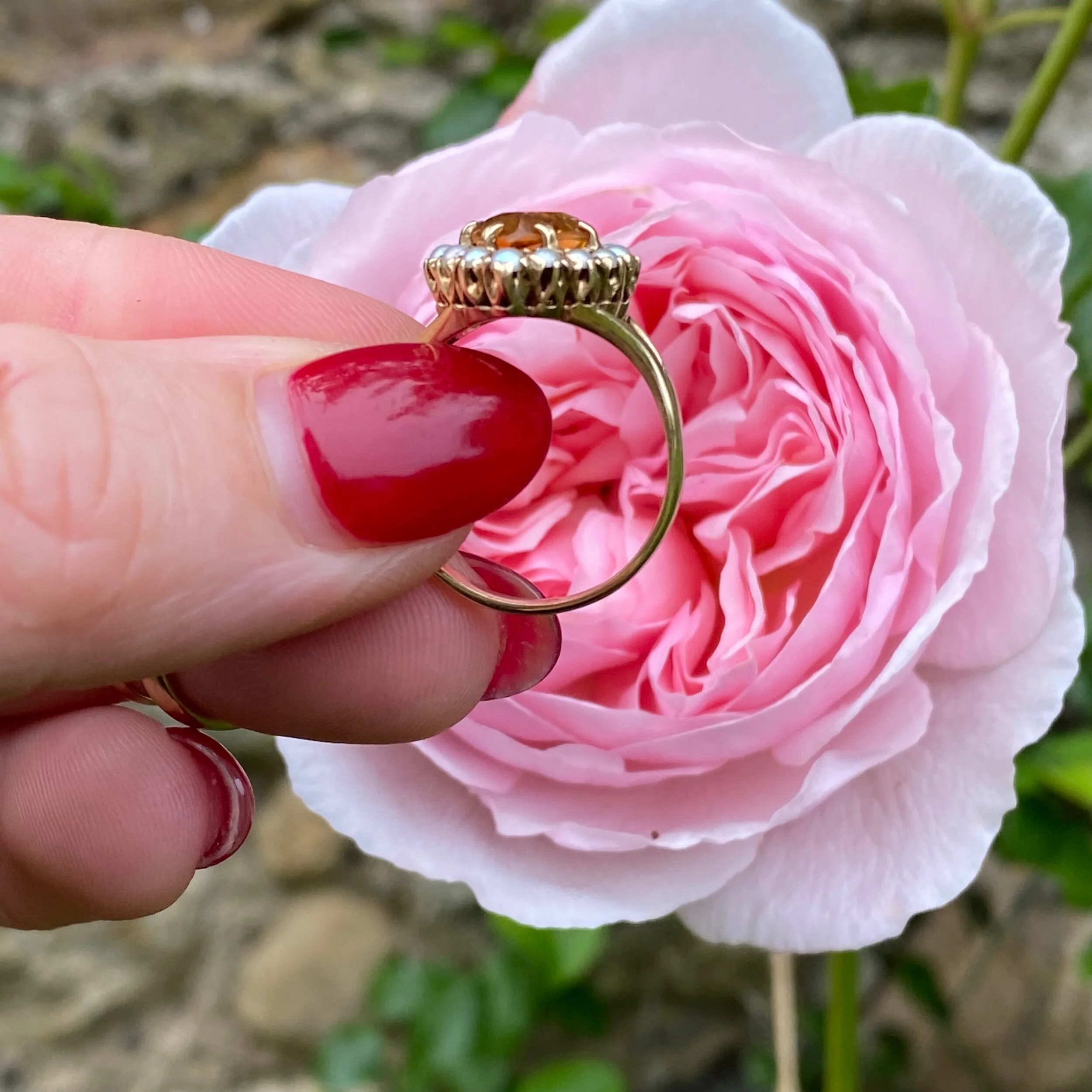 960DB36D-67F7-46A7-A499-F7E67AE31BB4