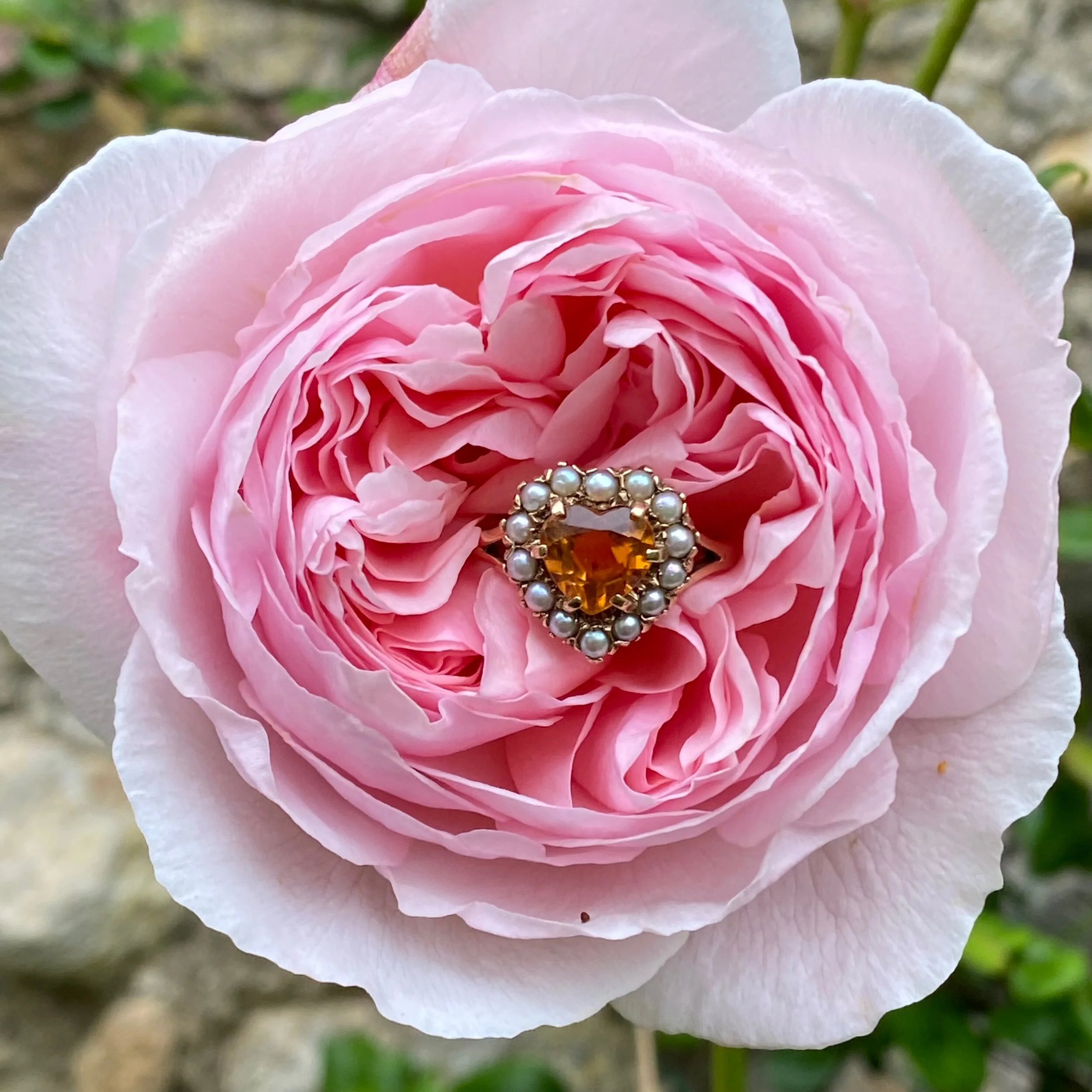 E4E5E05B-C355-4B1C-9CF5-C3C3823C87D5