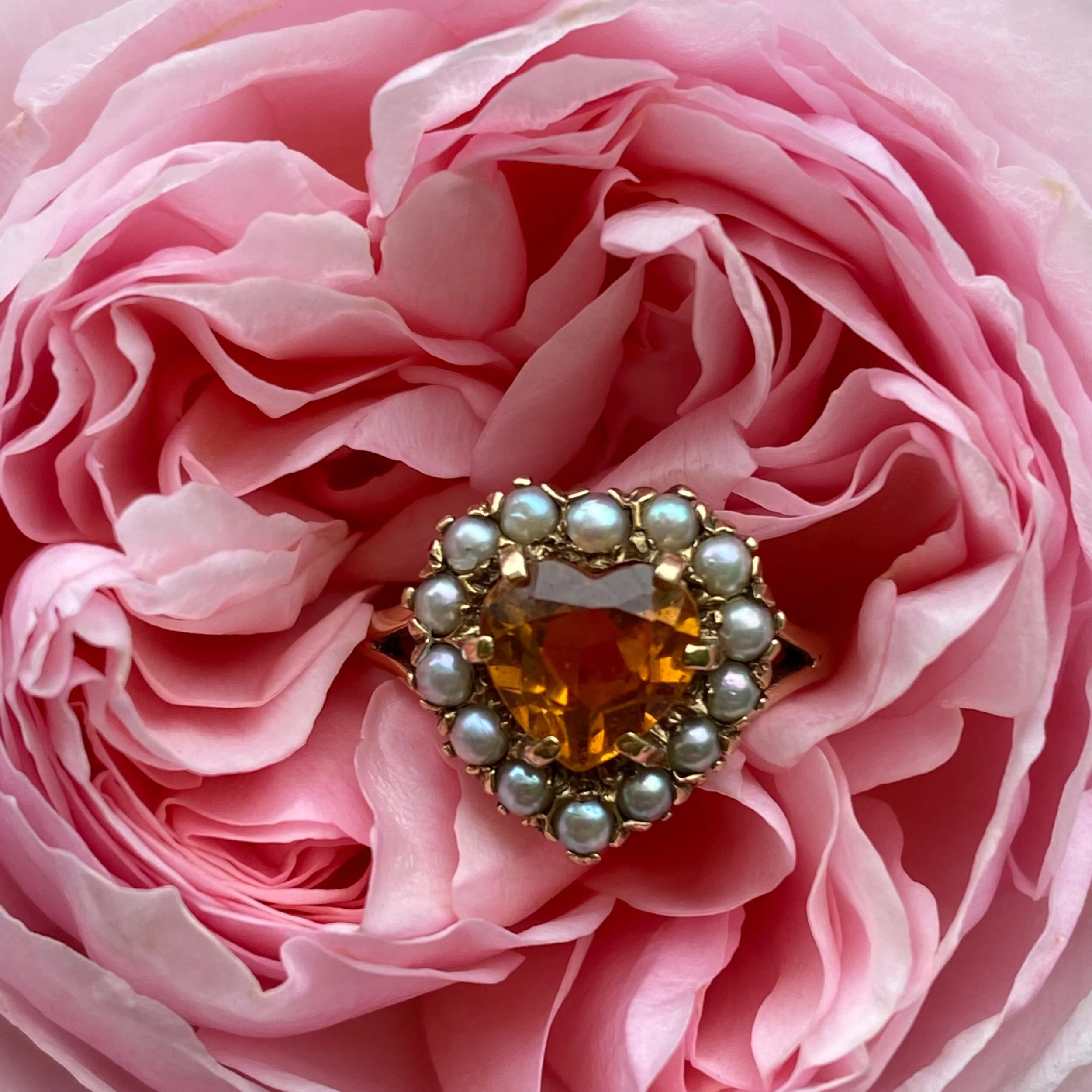 820A84D4-49A8-4968-B2E9-1F1DB693DA00