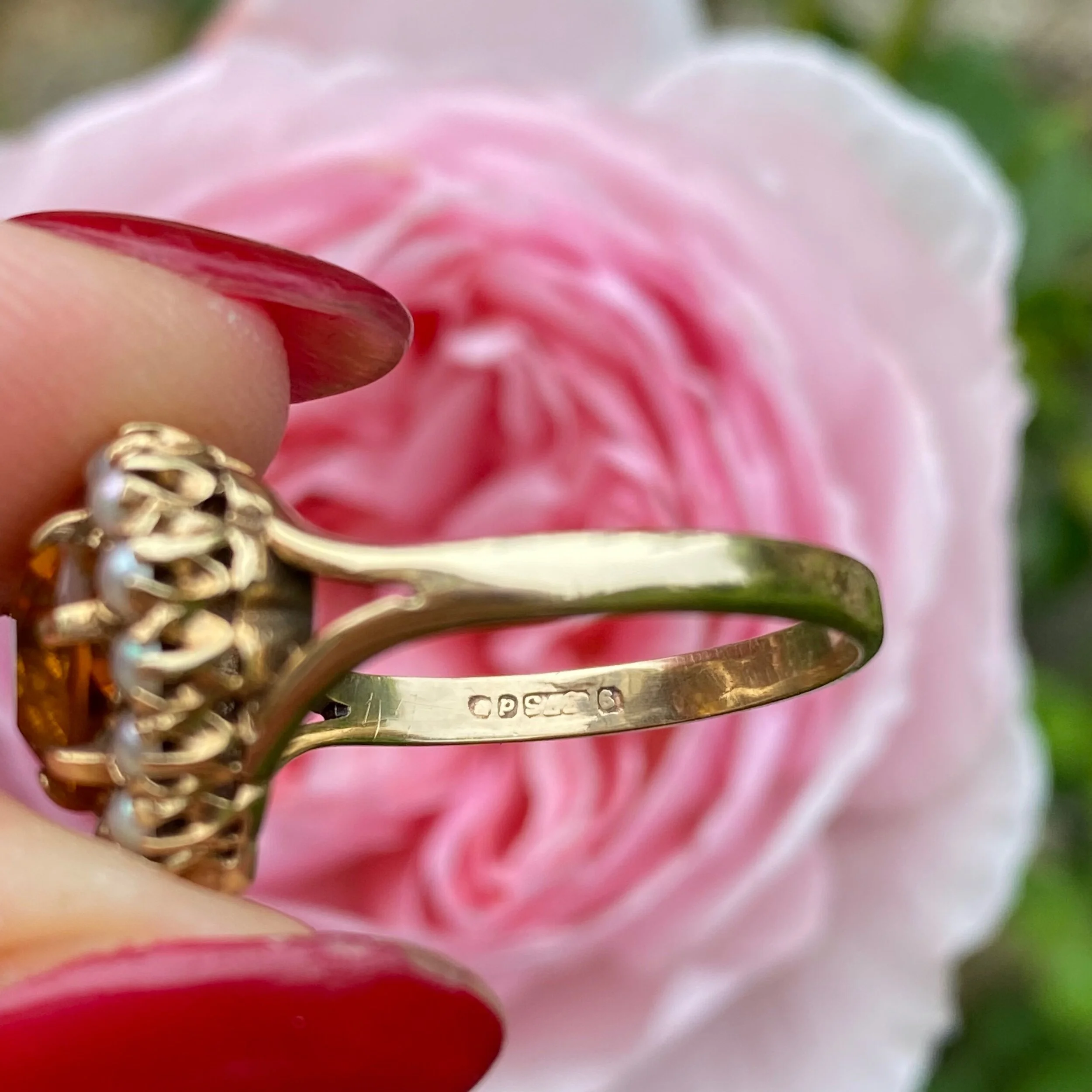 11C00FE8-C0C6-4E15-9698-C615589D734D