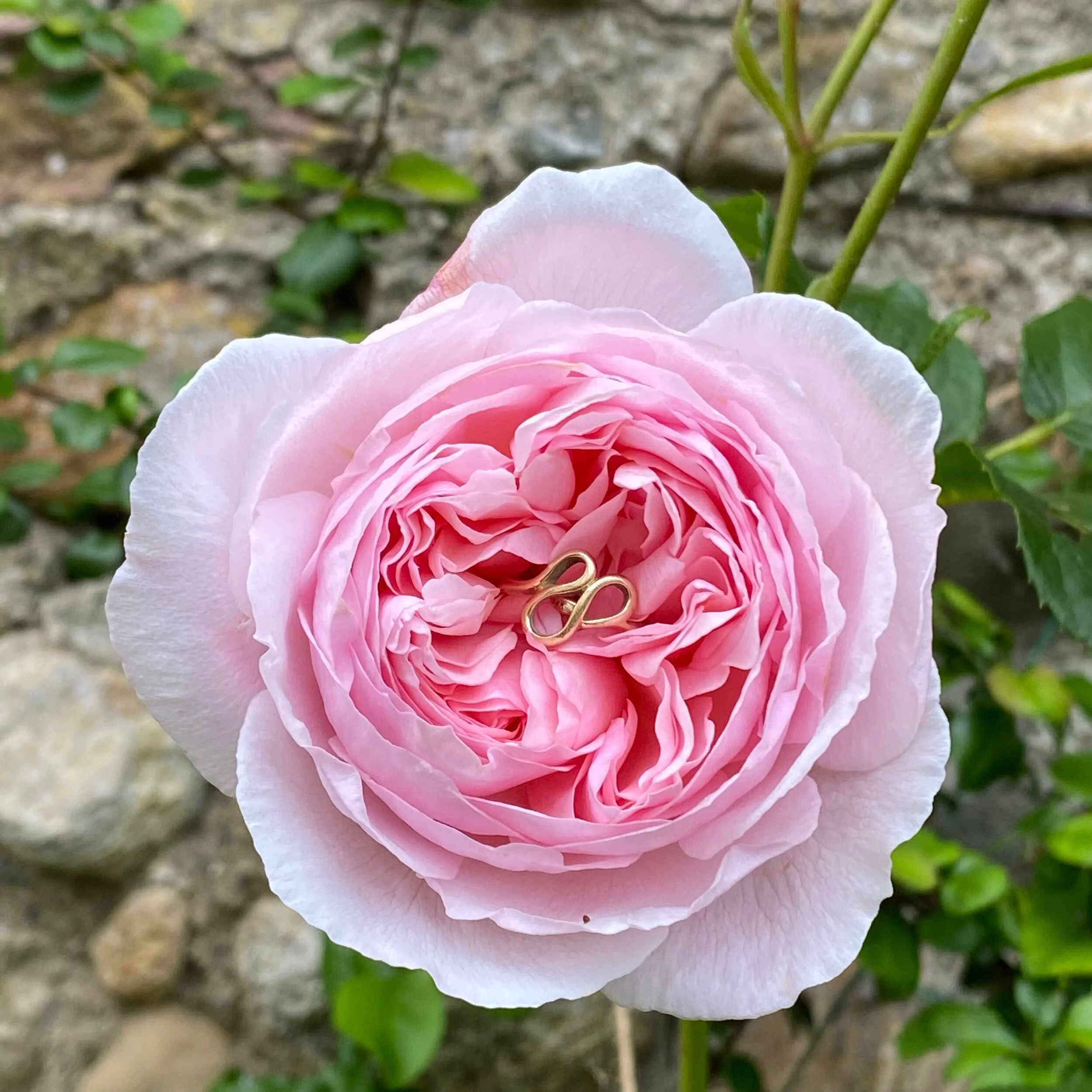 58790EB7-8D4B-4193-91DF-C494E94B85BB