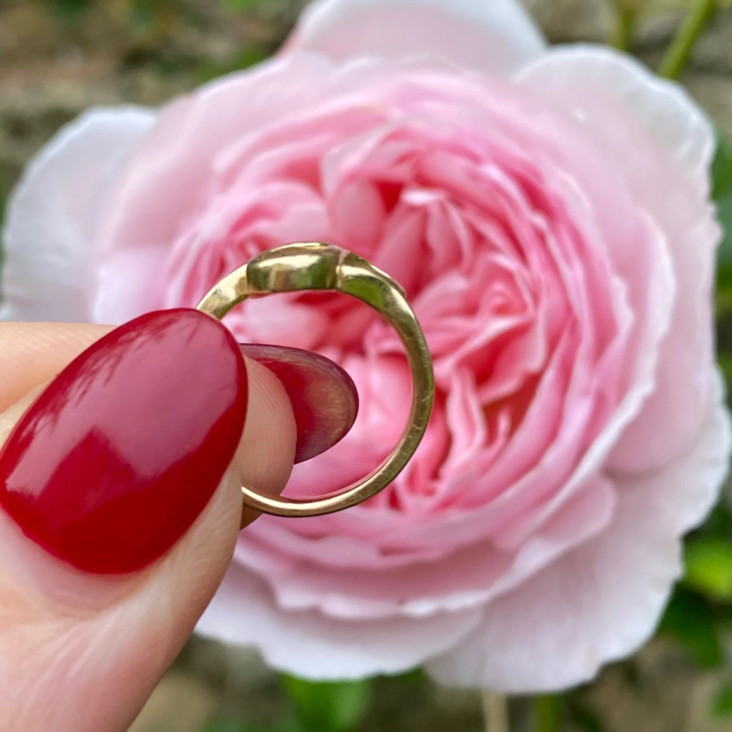 3240D842-3047-4C41-8D9C-074B4B6515AB