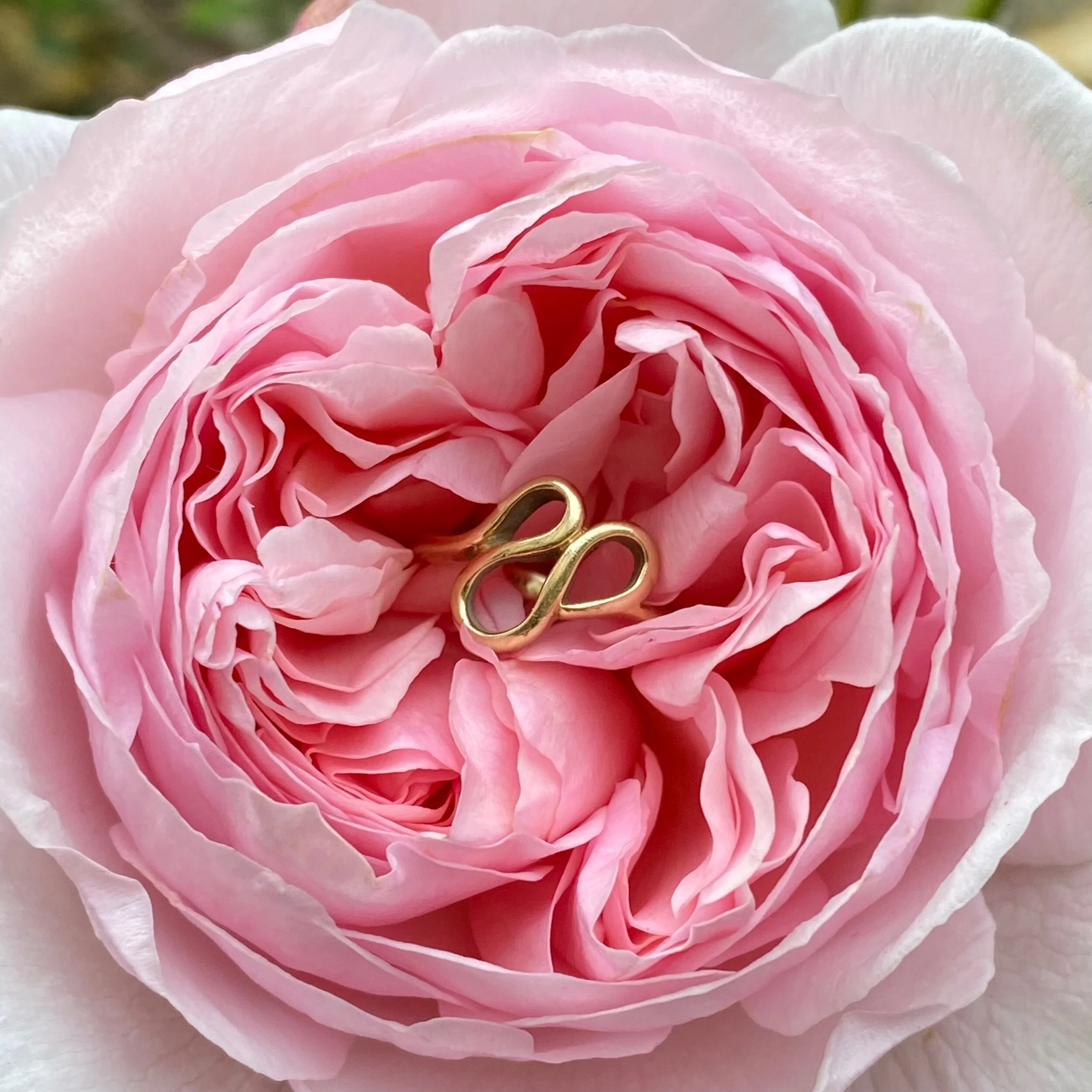 7F085944-316D-468C-8324-B415A6FF296D