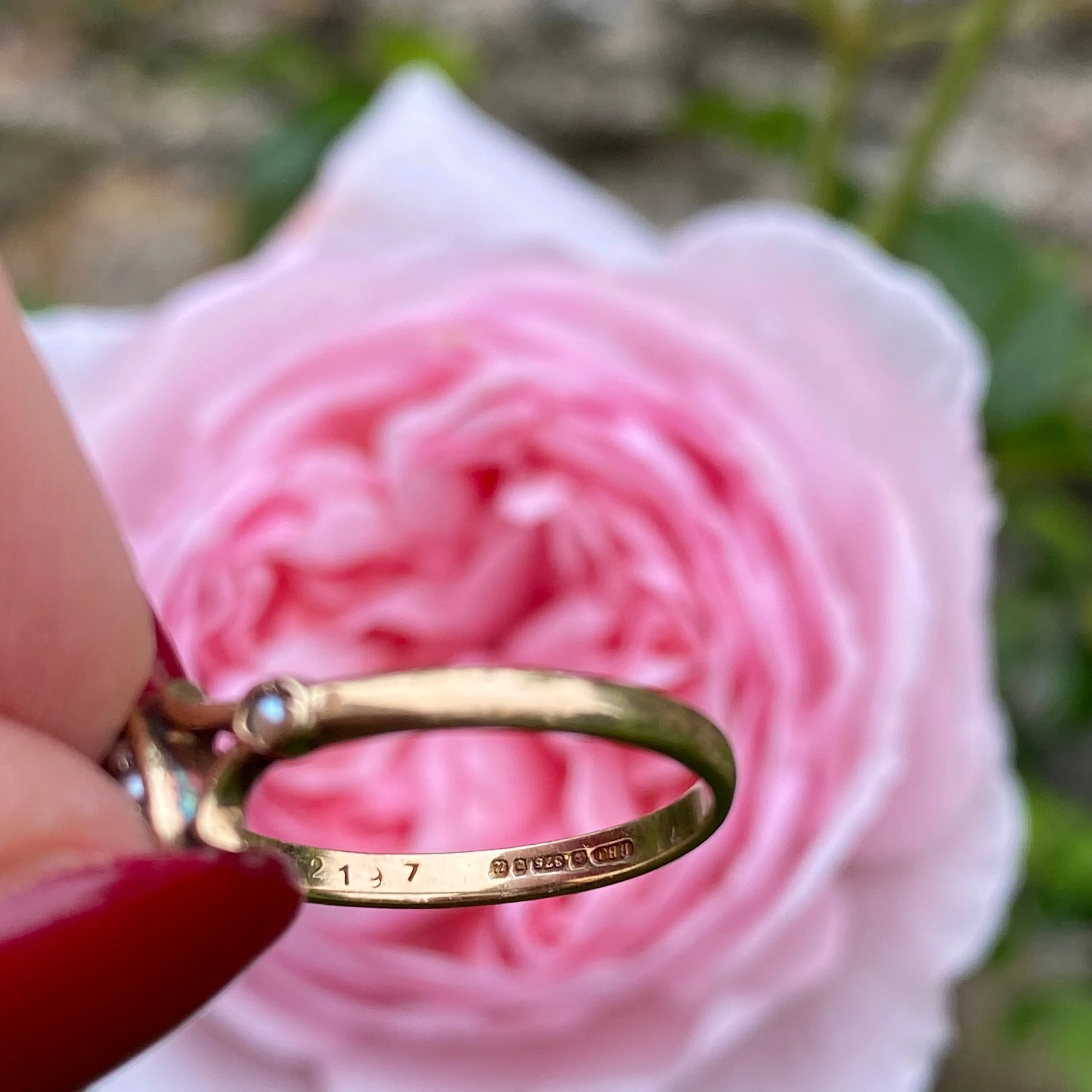 95F0F78E-0A6C-4587-B08F-16BF506E2BDA