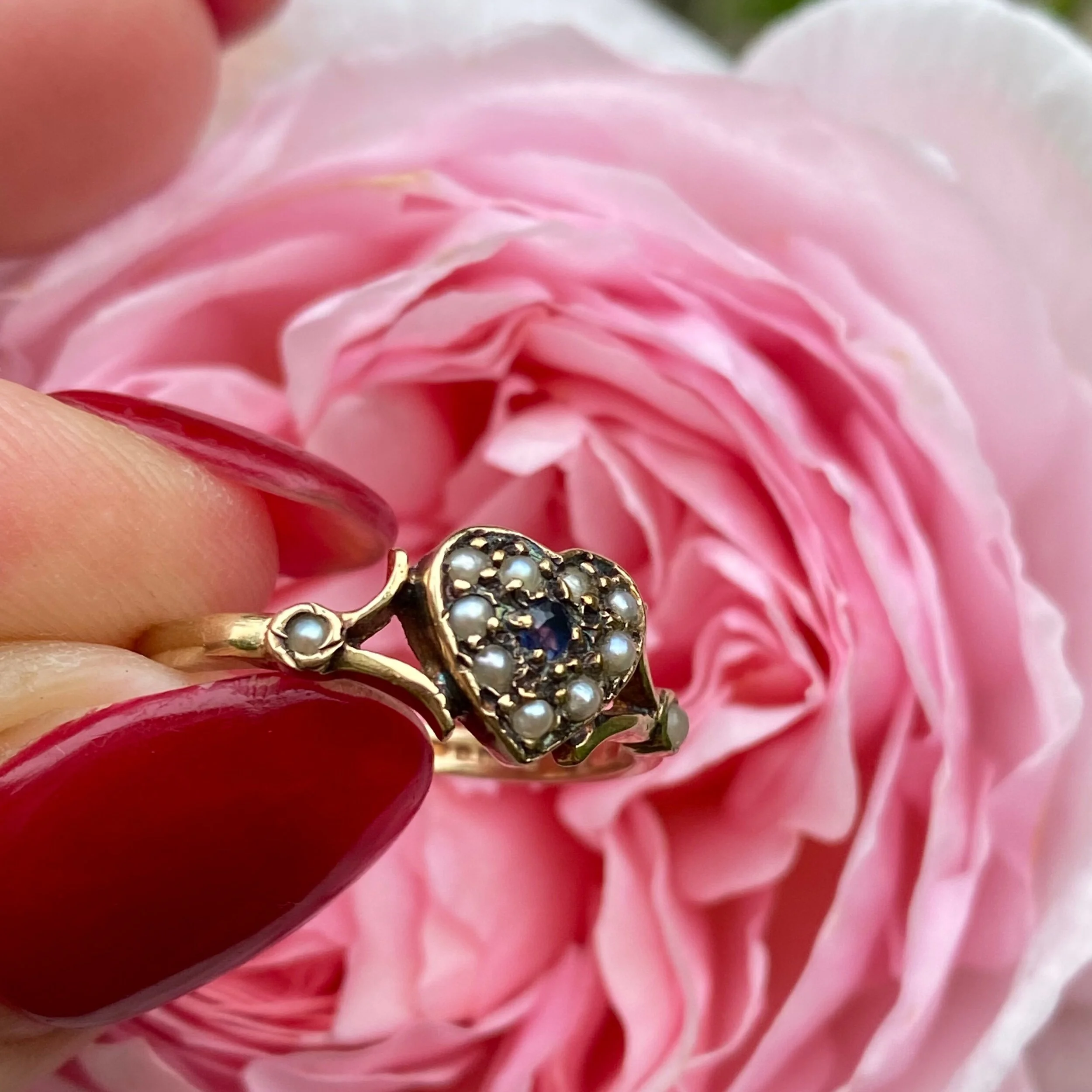 C755CAD0-DF0F-42E1-9979-D02A81DAD922