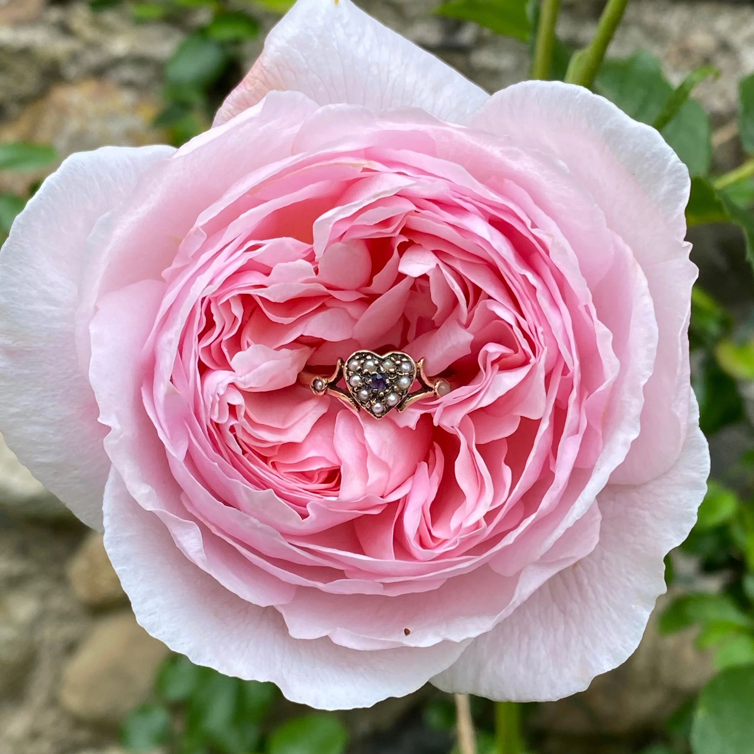 376171D0-BB2E-4A44-88B4-07B9B2372337