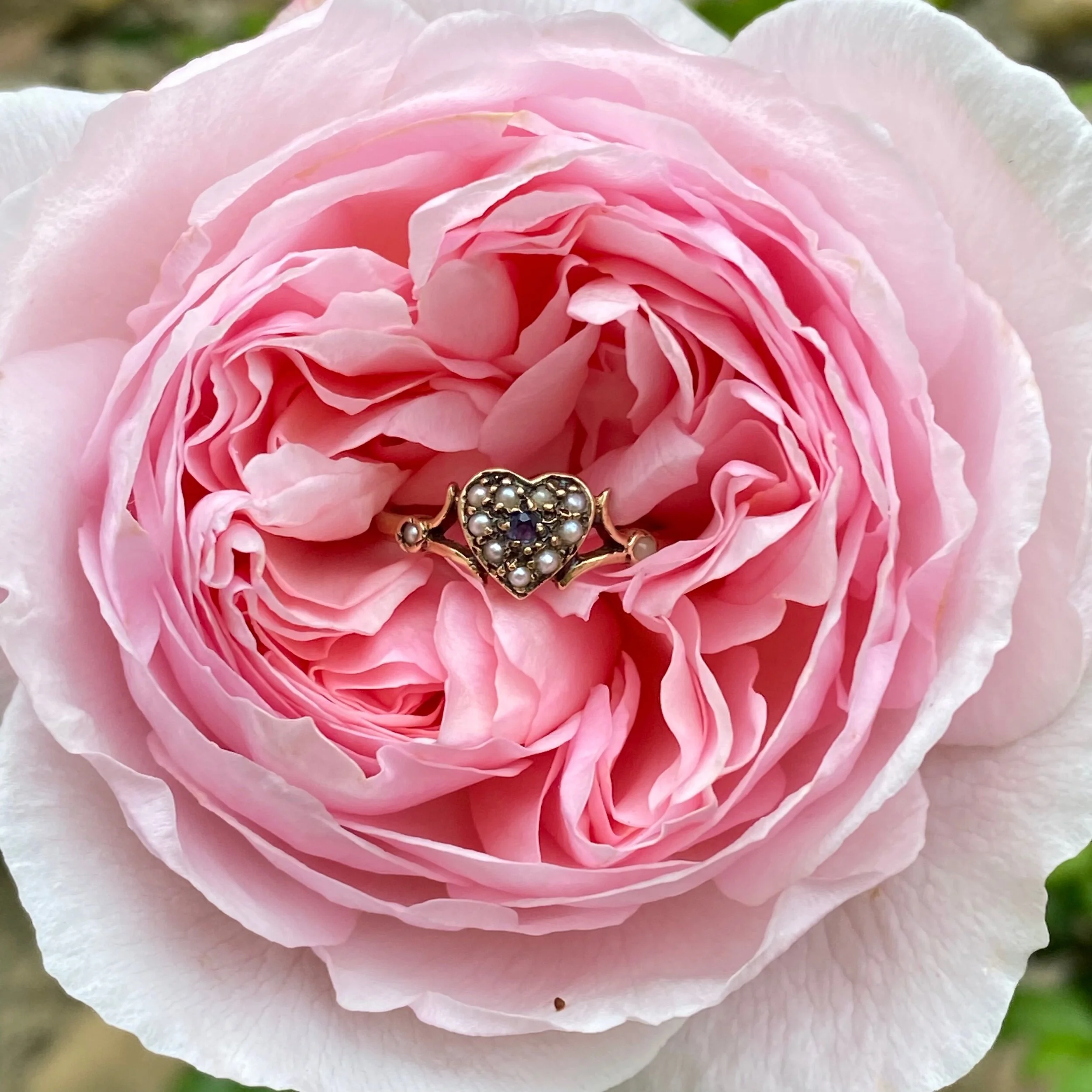 1B2B5584-6AEF-4AF9-93A0-4E8773DC83AF