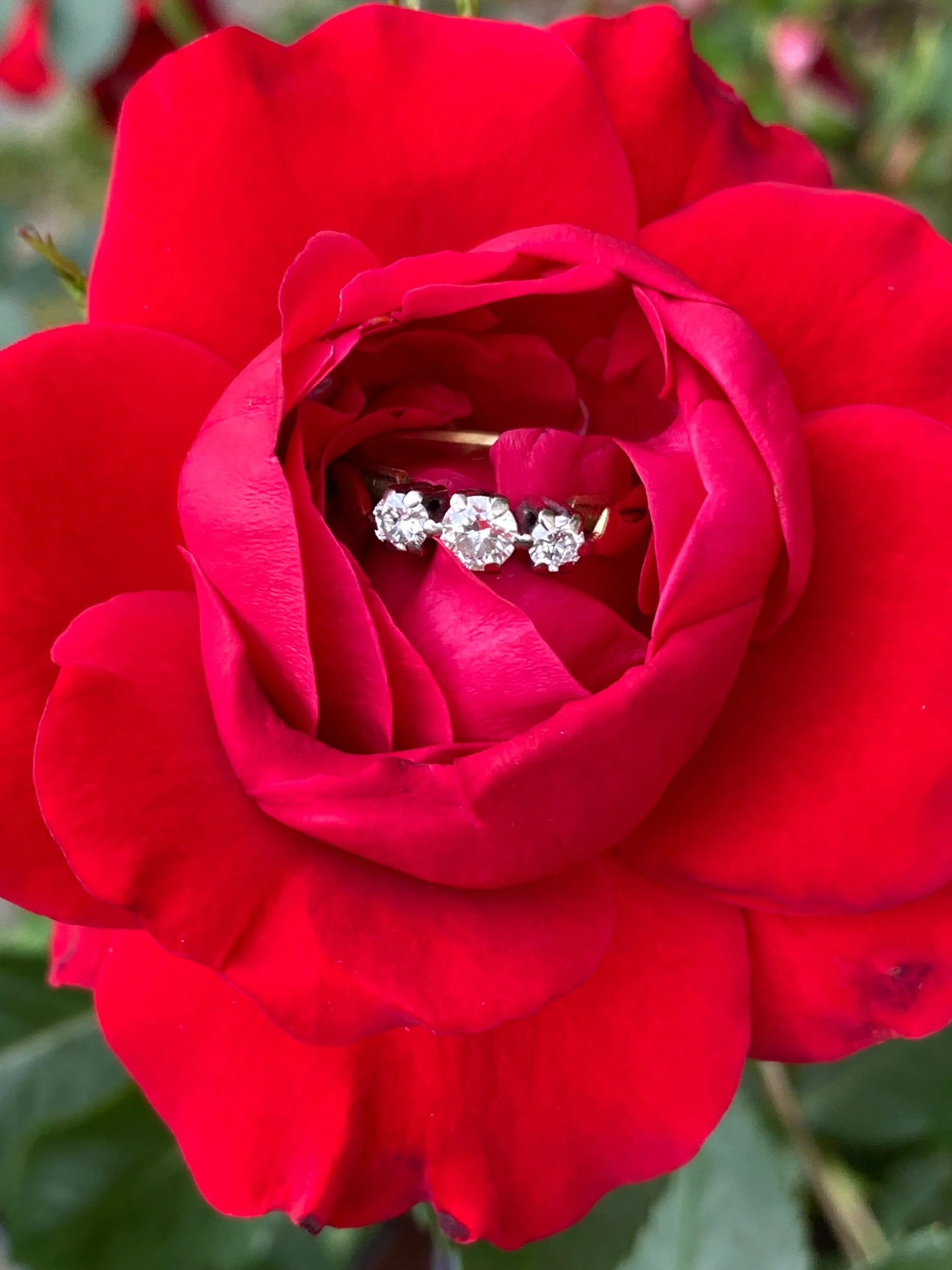 C89F8A67-15B3-48CF-AA63-32C4688BC975