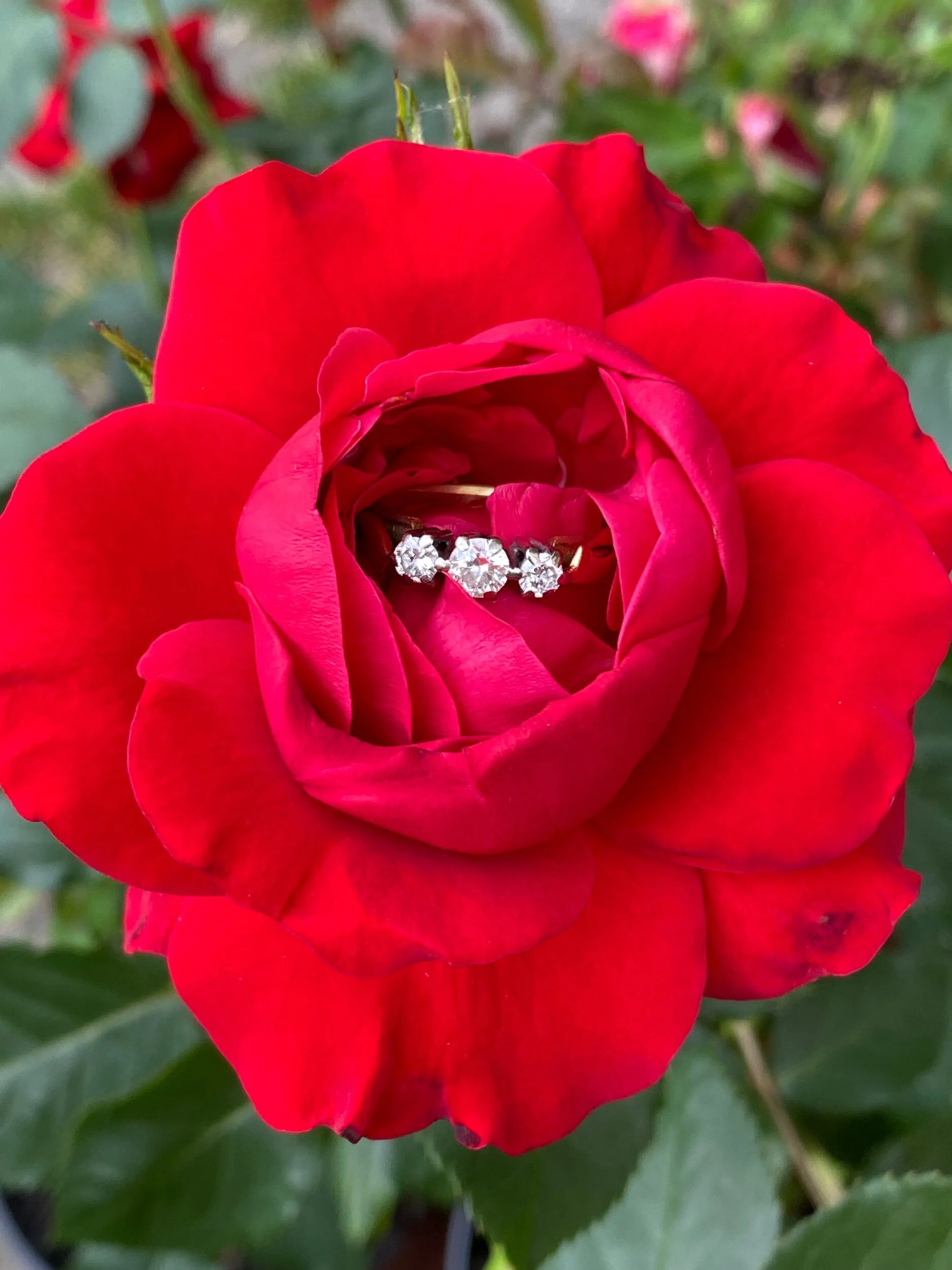 0A861408-BEE7-4085-97A5-A33F02D2437E