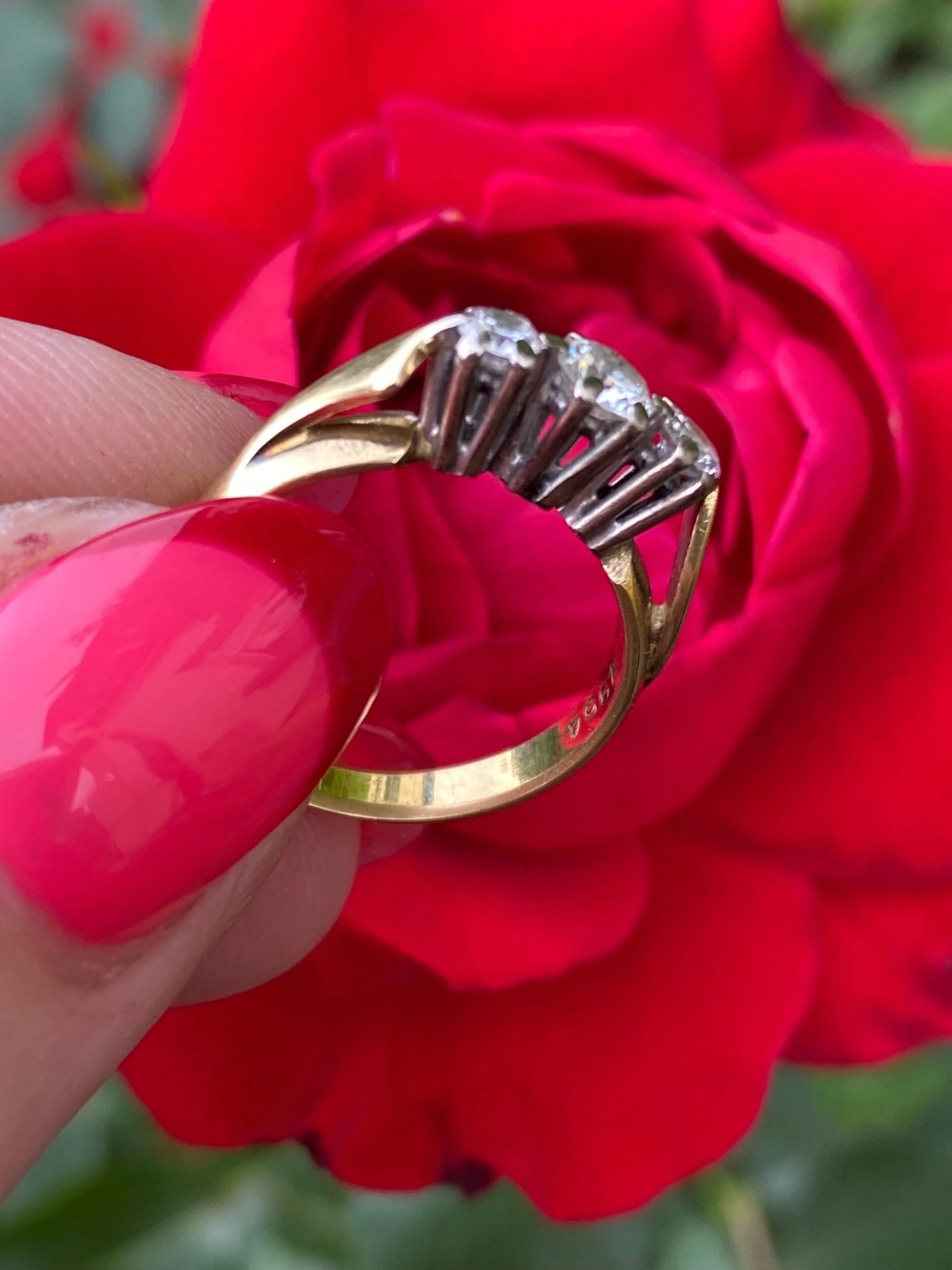 0D93EF88-4996-4343-A3C9-81DEC1AB68FE