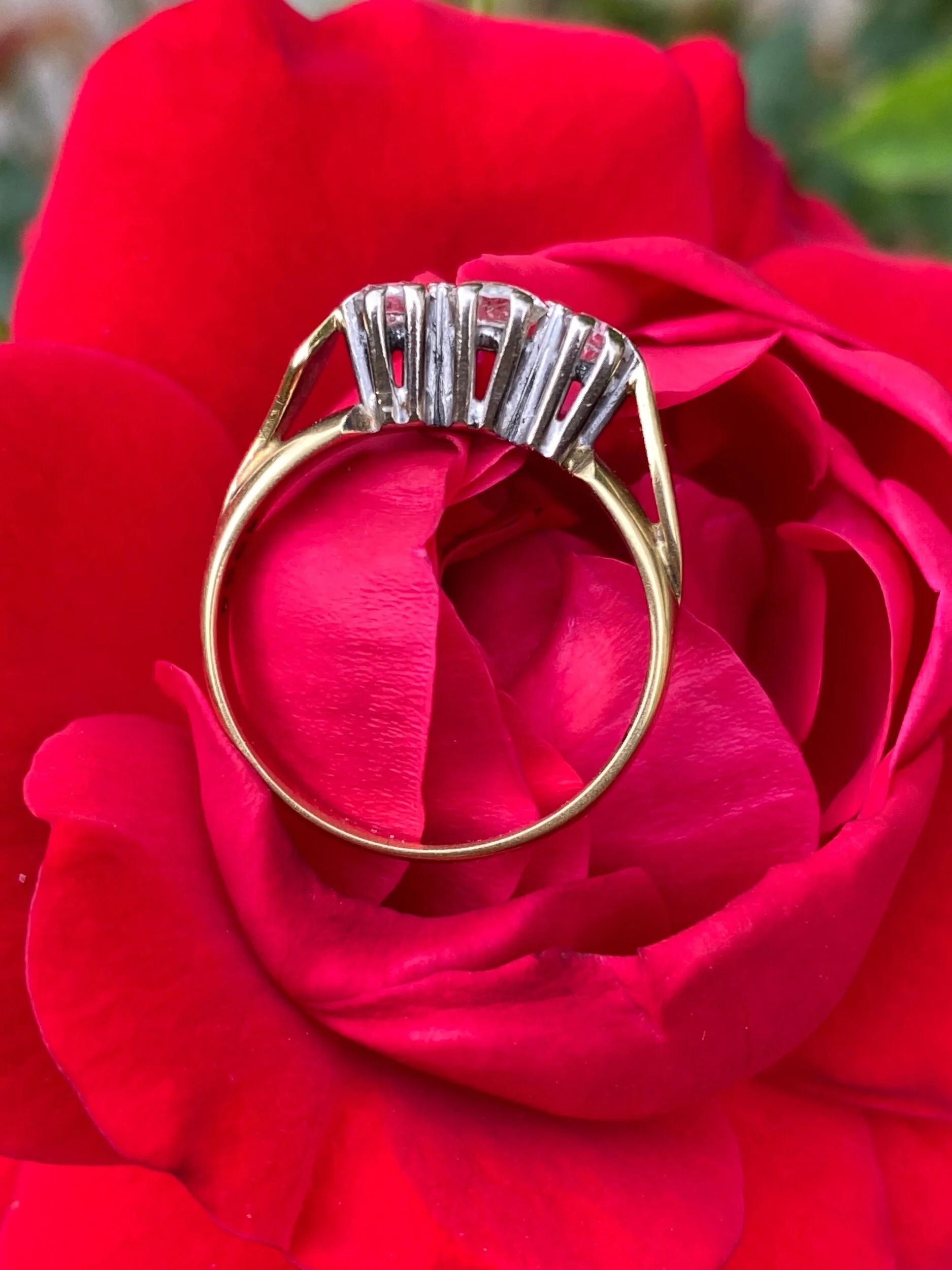 CA73DE56-FFB7-4D49-9059-8C9B76771698