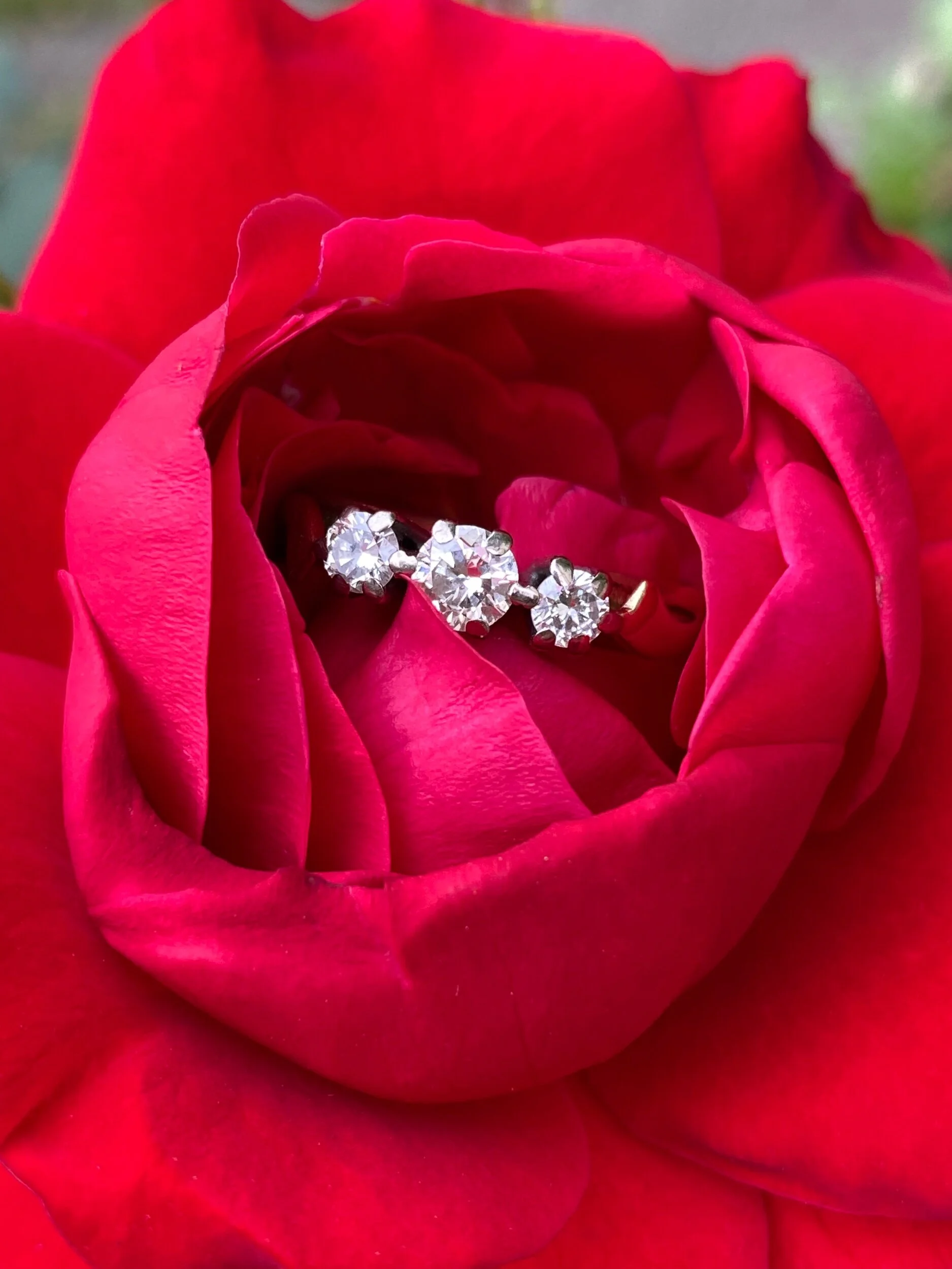 19E65F70-92C5-4195-A6B8-89567BA248BD