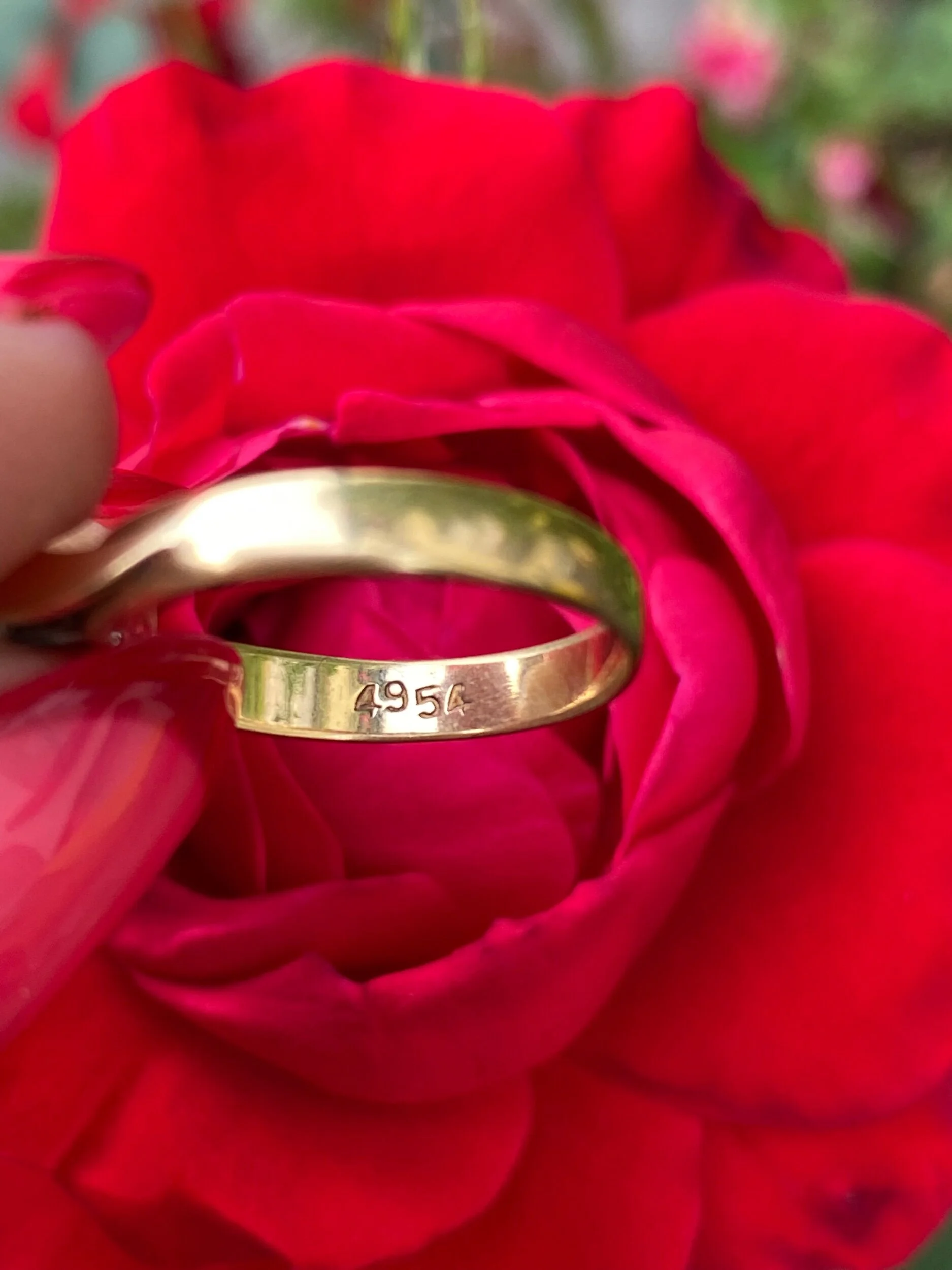 23B21EB4-4822-43D8-B2BA-3847F0FCA75D