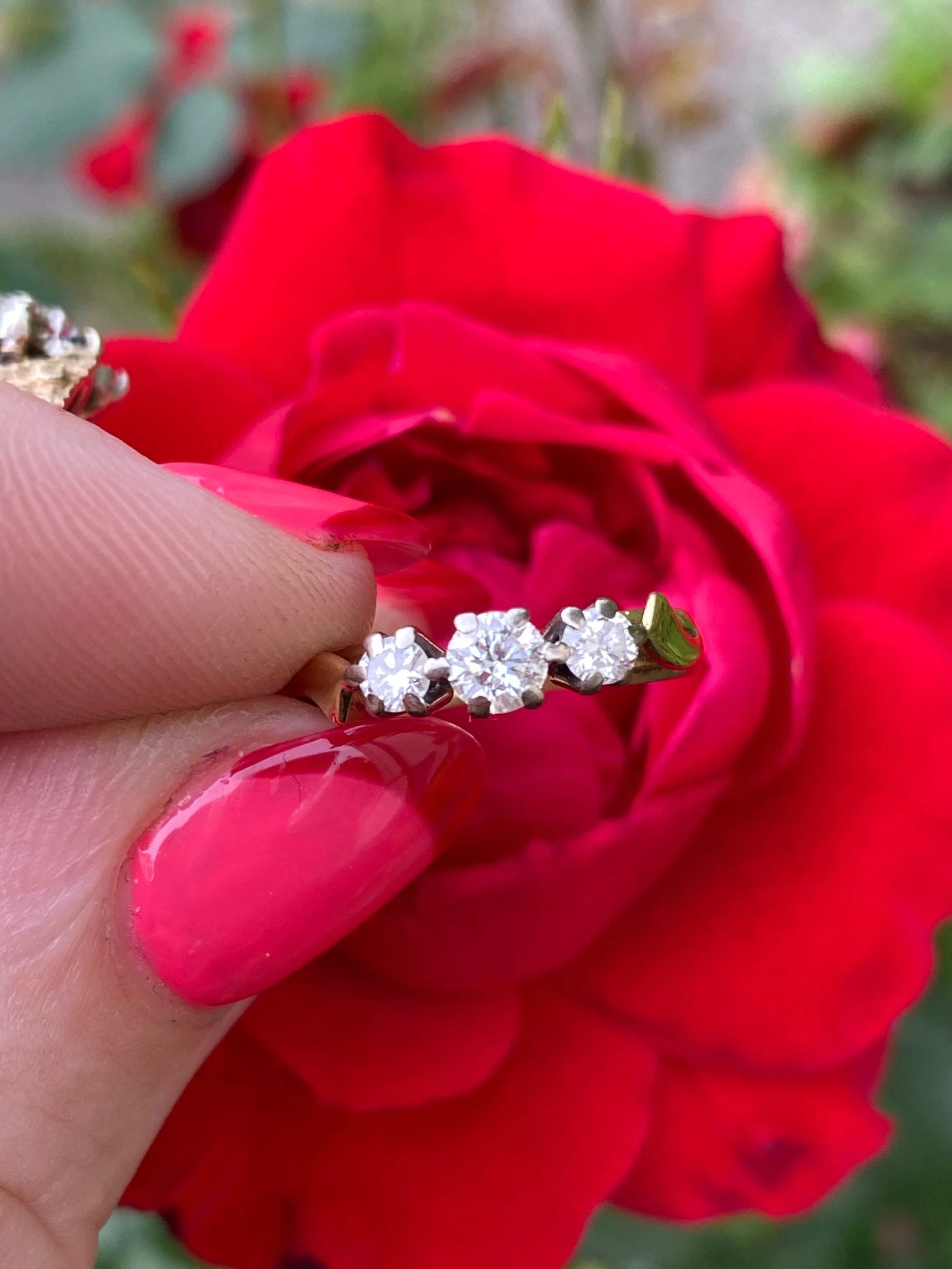 B2415985-F57F-47DC-8A9A-A1C981CB5822