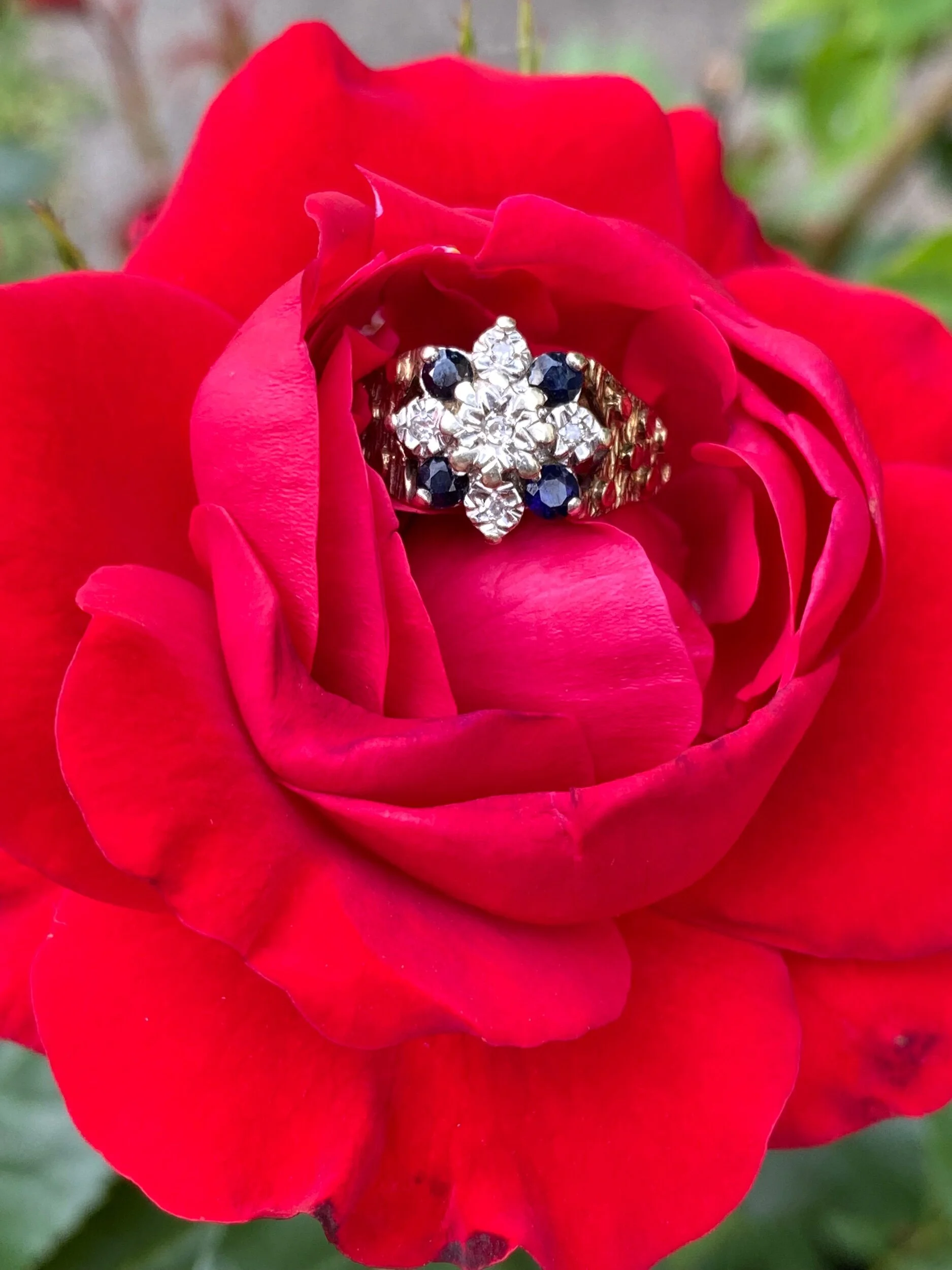 F3DB497D-F7BA-4AE0-B9B4-8CD1B9E16104