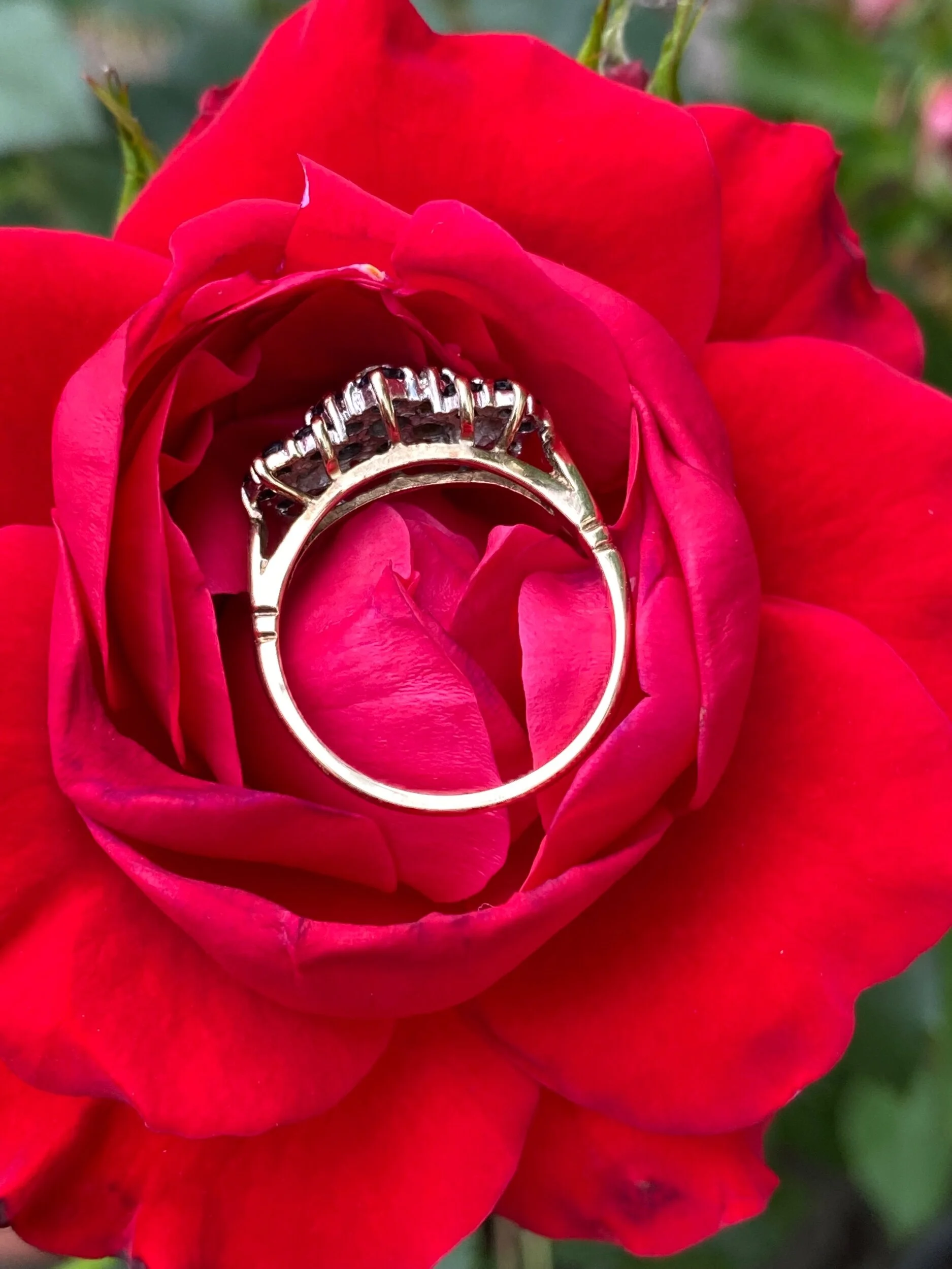 31FF300E-CF80-4F5E-8C68-3680AD31BAF3