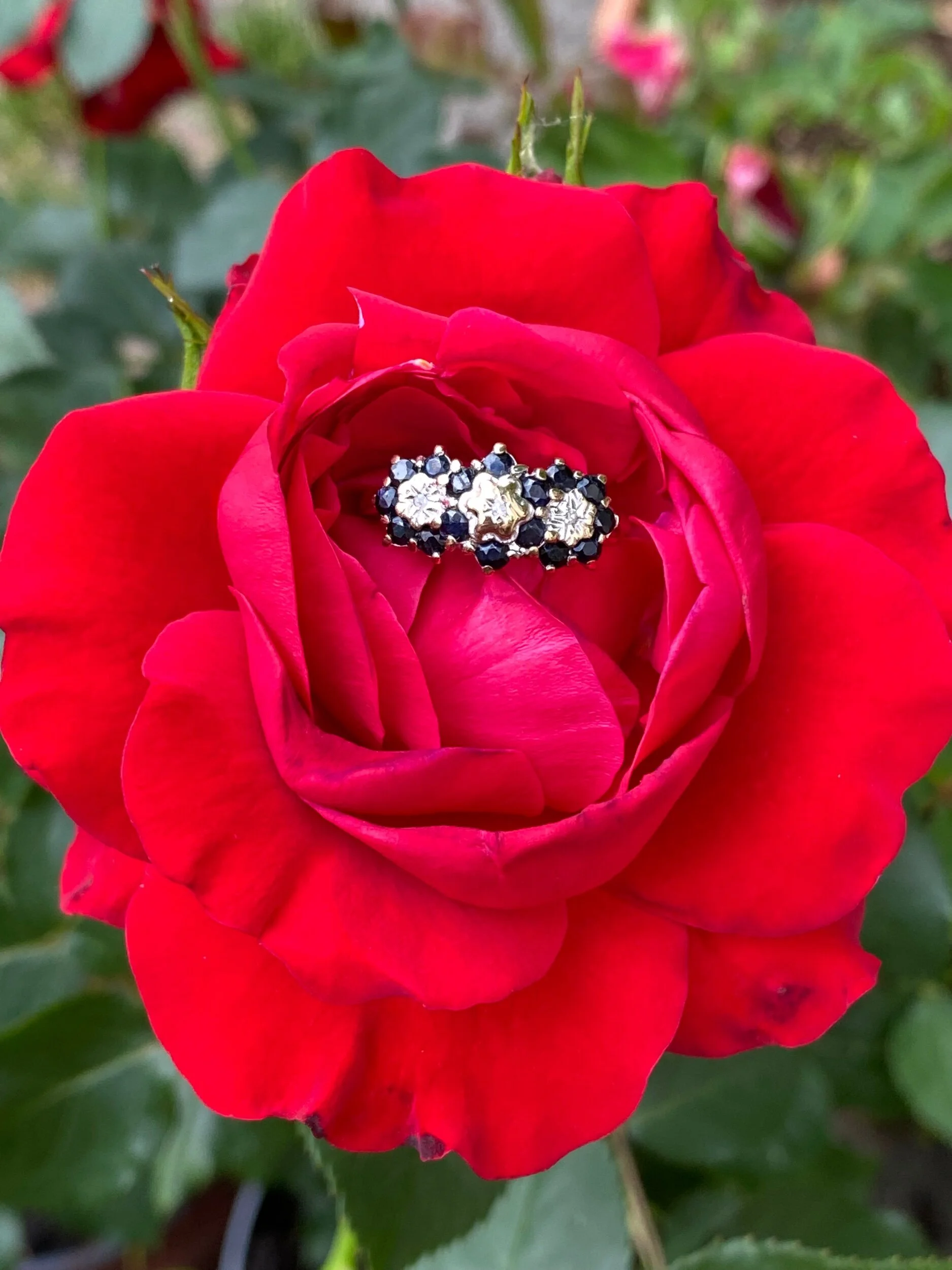 F3C14FEF-43B6-4AD5-B84C-5A9B0243457C