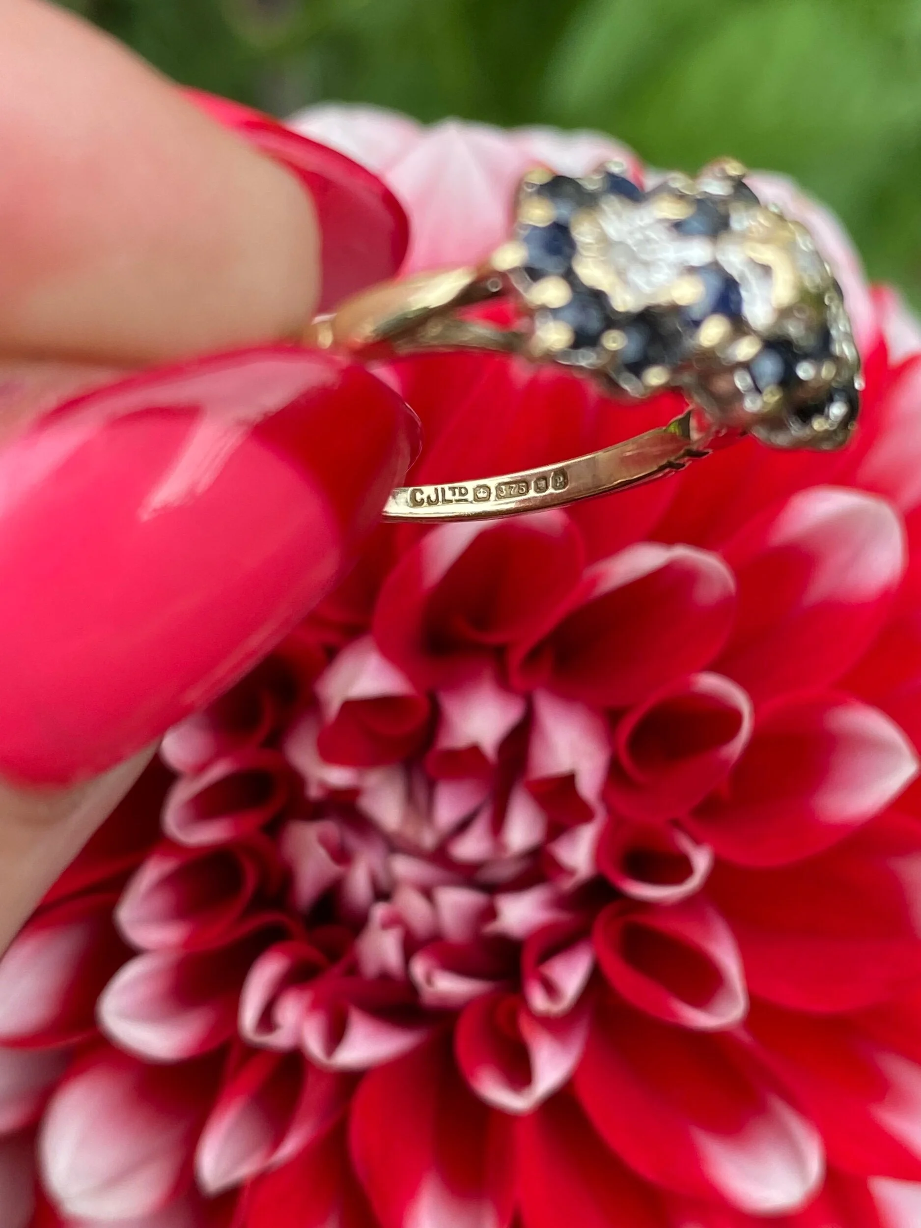 542EB8DF-1AA6-4286-8D04-A3A88BAA641A