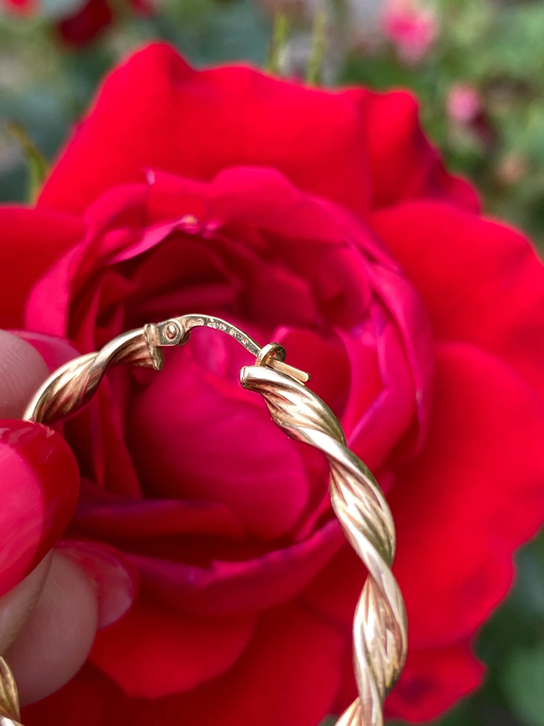 9F0DB339-973D-4DFE-A96C-4D2EA9E1CAF7