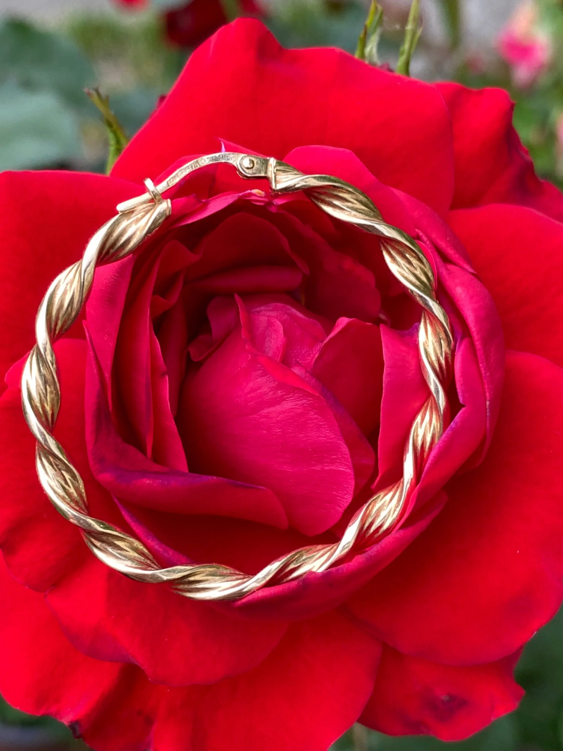 079ADB47-E76B-4974-ADD1-3839DC2994EC