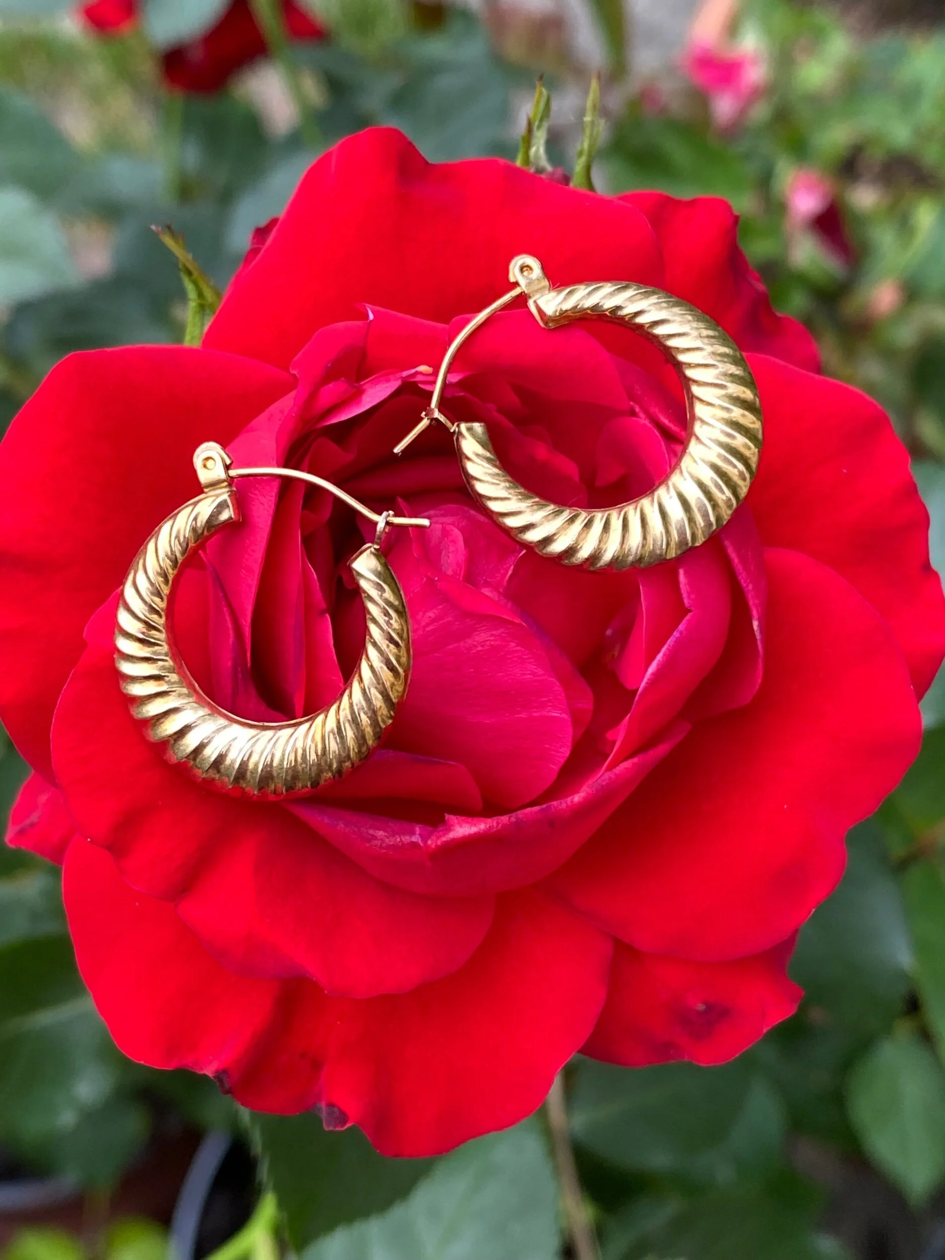 58E54CD9-20FF-4660-8AB7-2073507729CE