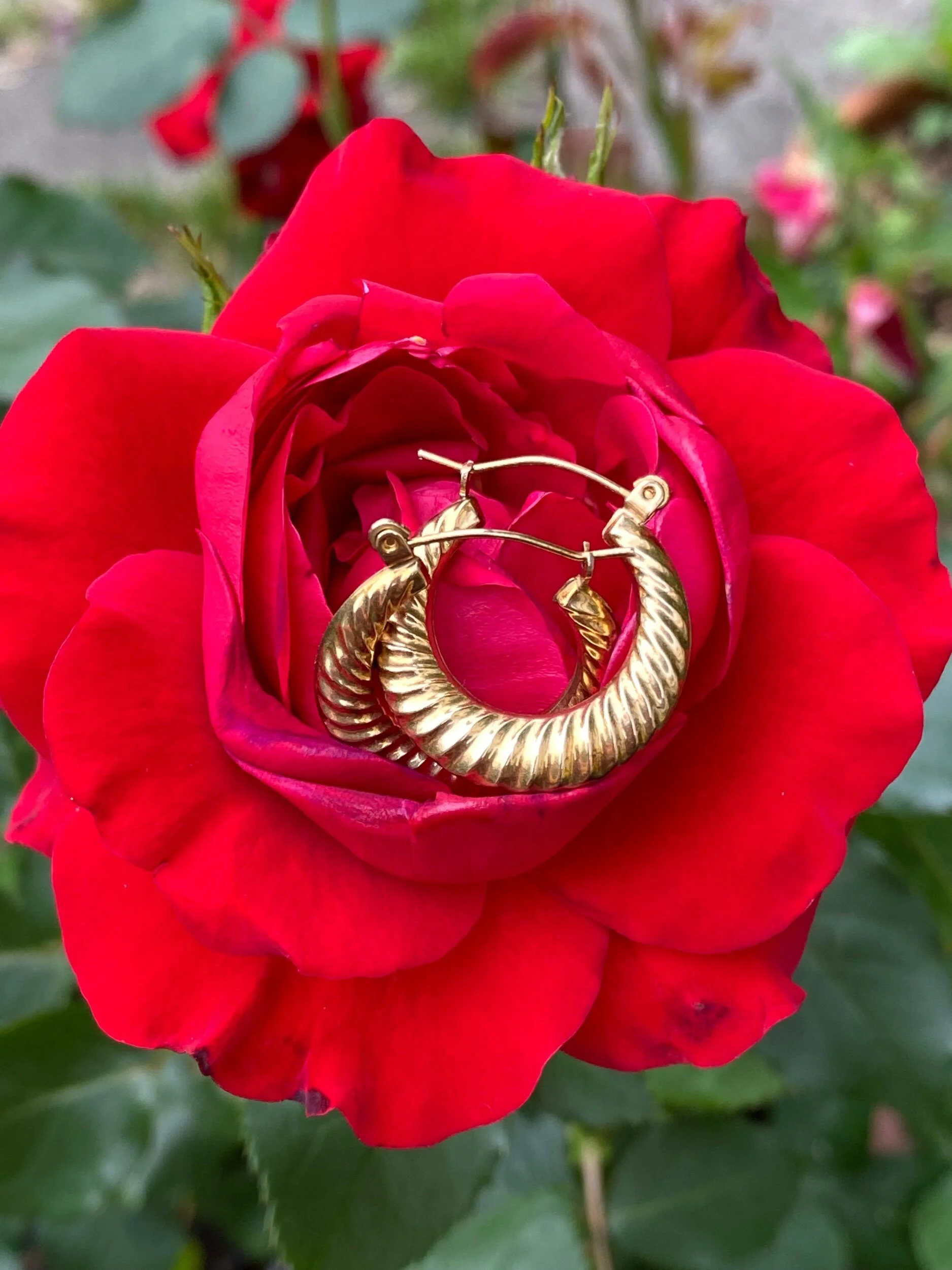 3AC94BE3-60DE-4626-BA78-2520E06A2797