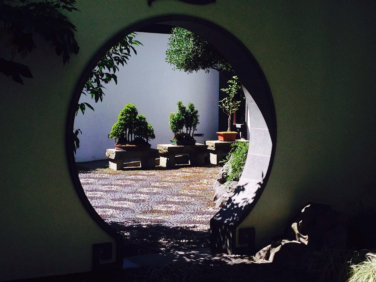 Light Language Session with guest speaker Danra-