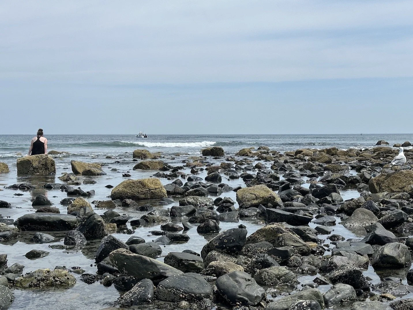 8/8 - Lion's Gate Portal