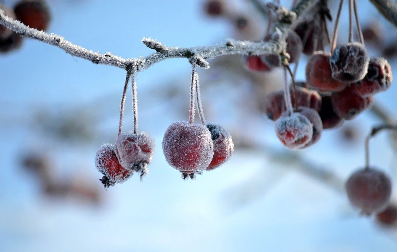 Living From the Inside Out