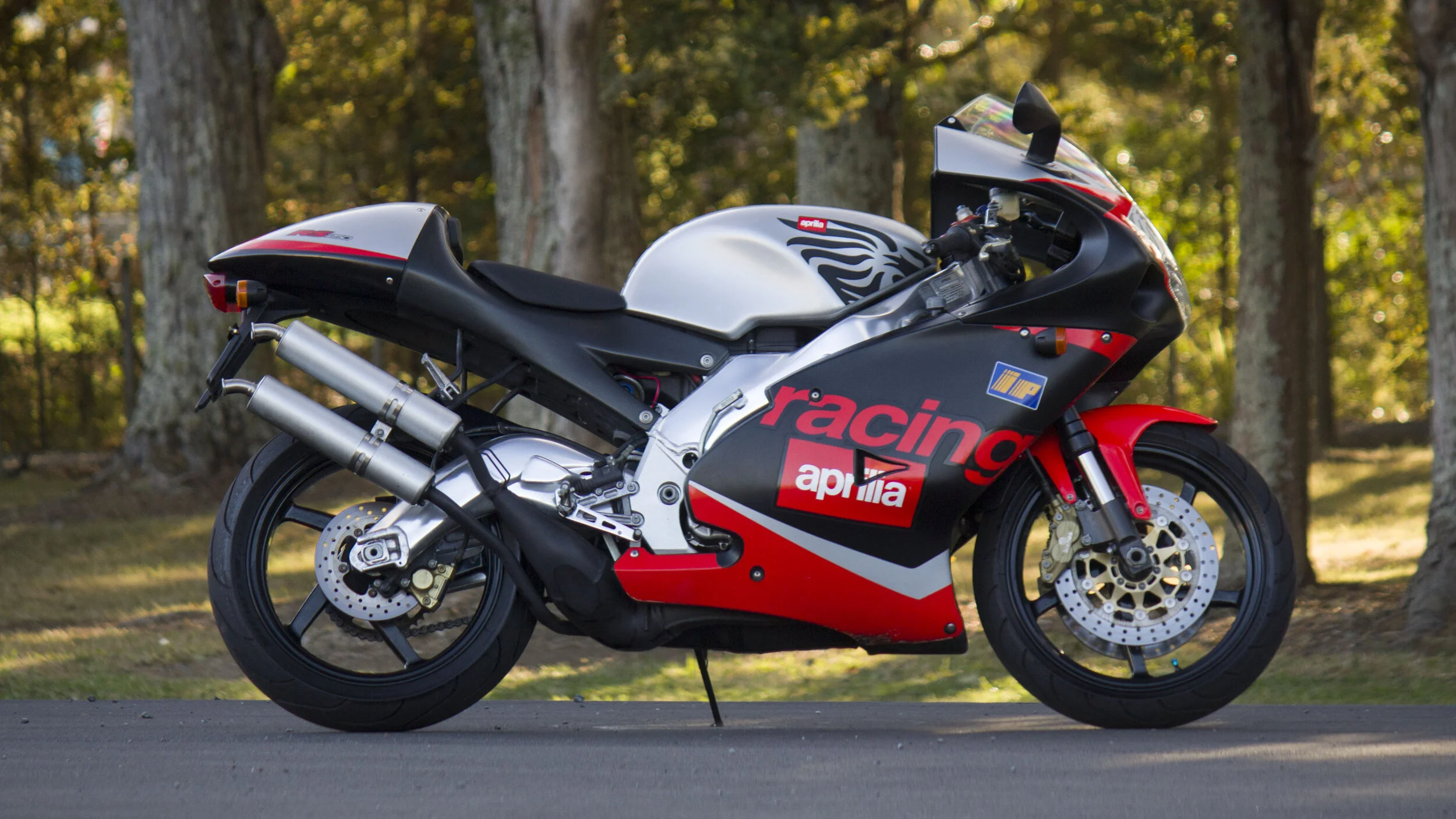 Aprilia RS250 Challenge Cup.jpg