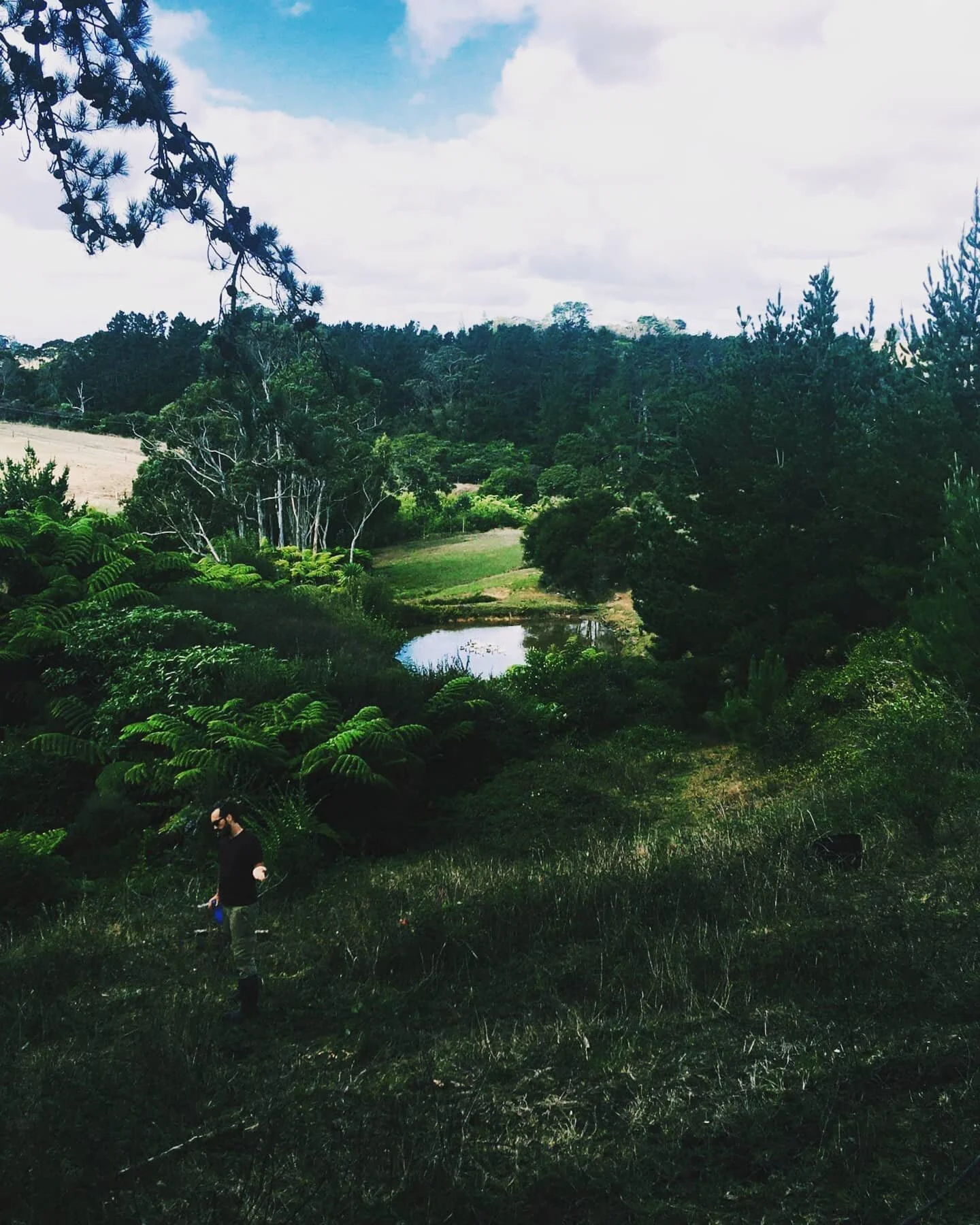 New backyard / hunting ground.
Good to be home.

#bonsai #bonsainewzealand #newzealand #newzealandlife #bonsaitree #bonsaiart #plantstagram #tree #nature