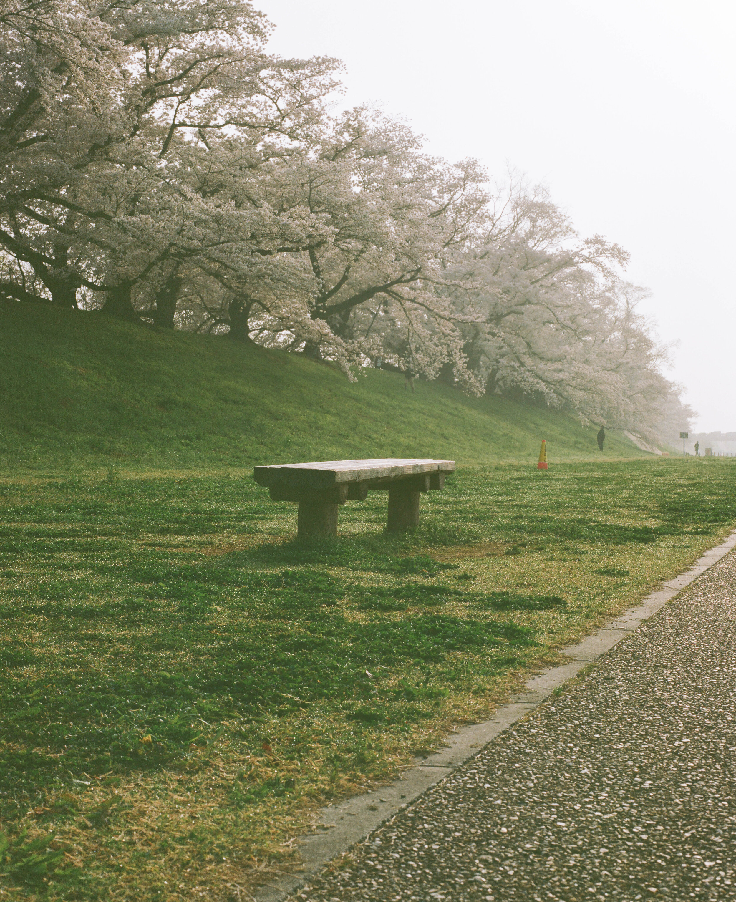 untitled-36.jpg