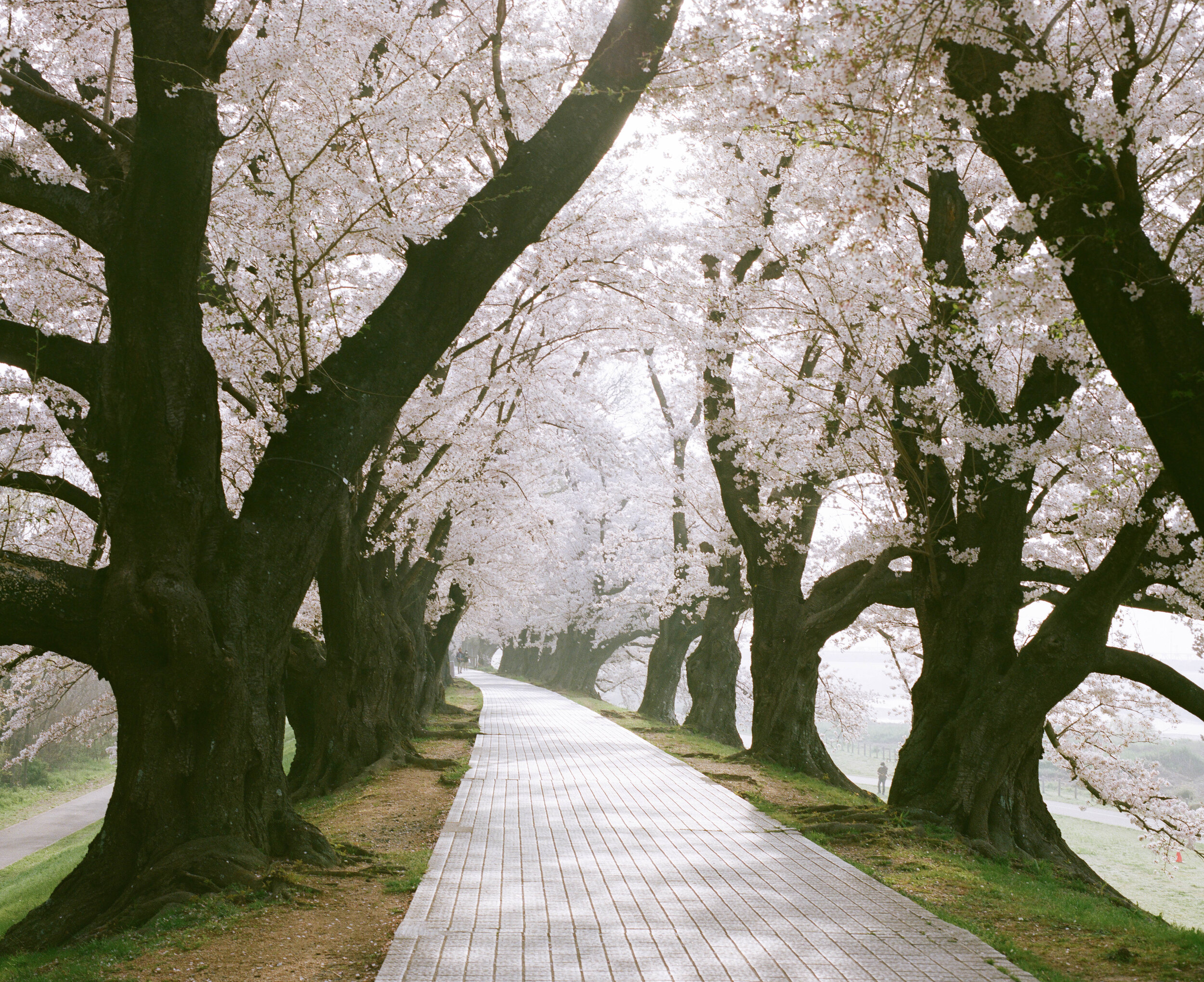 untitled-37.jpg