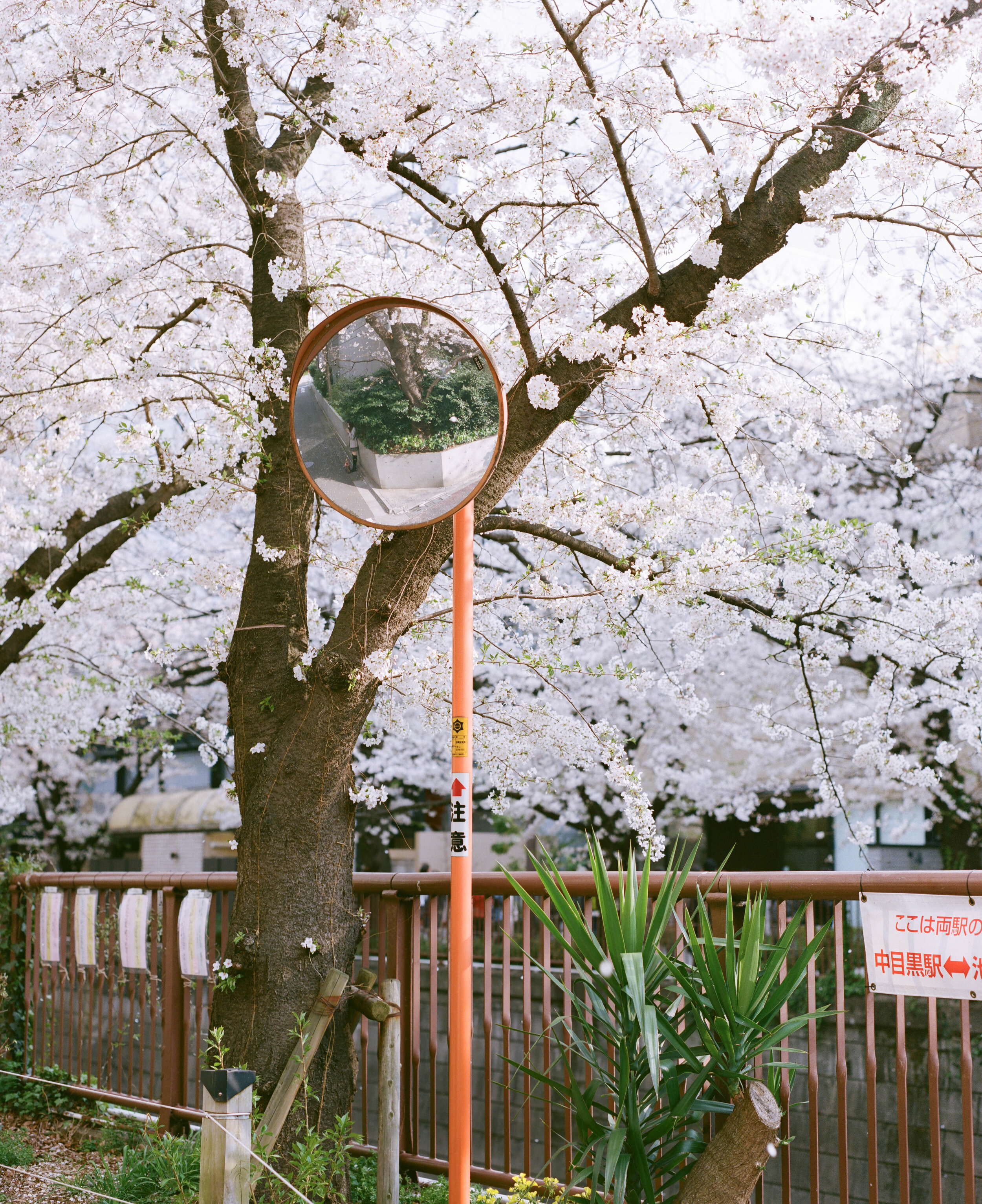 untitled-38.jpg