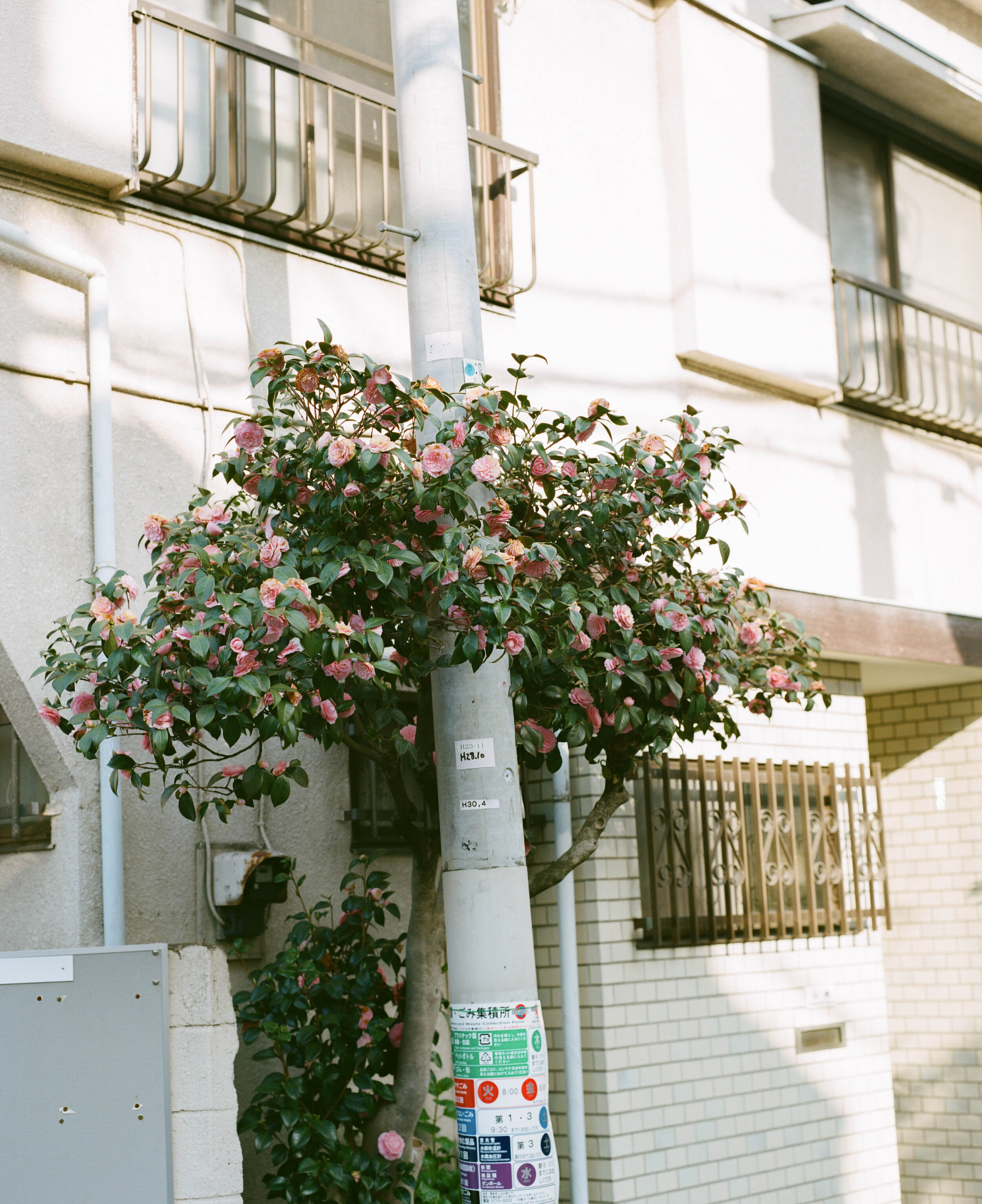 untitled-39.jpg
